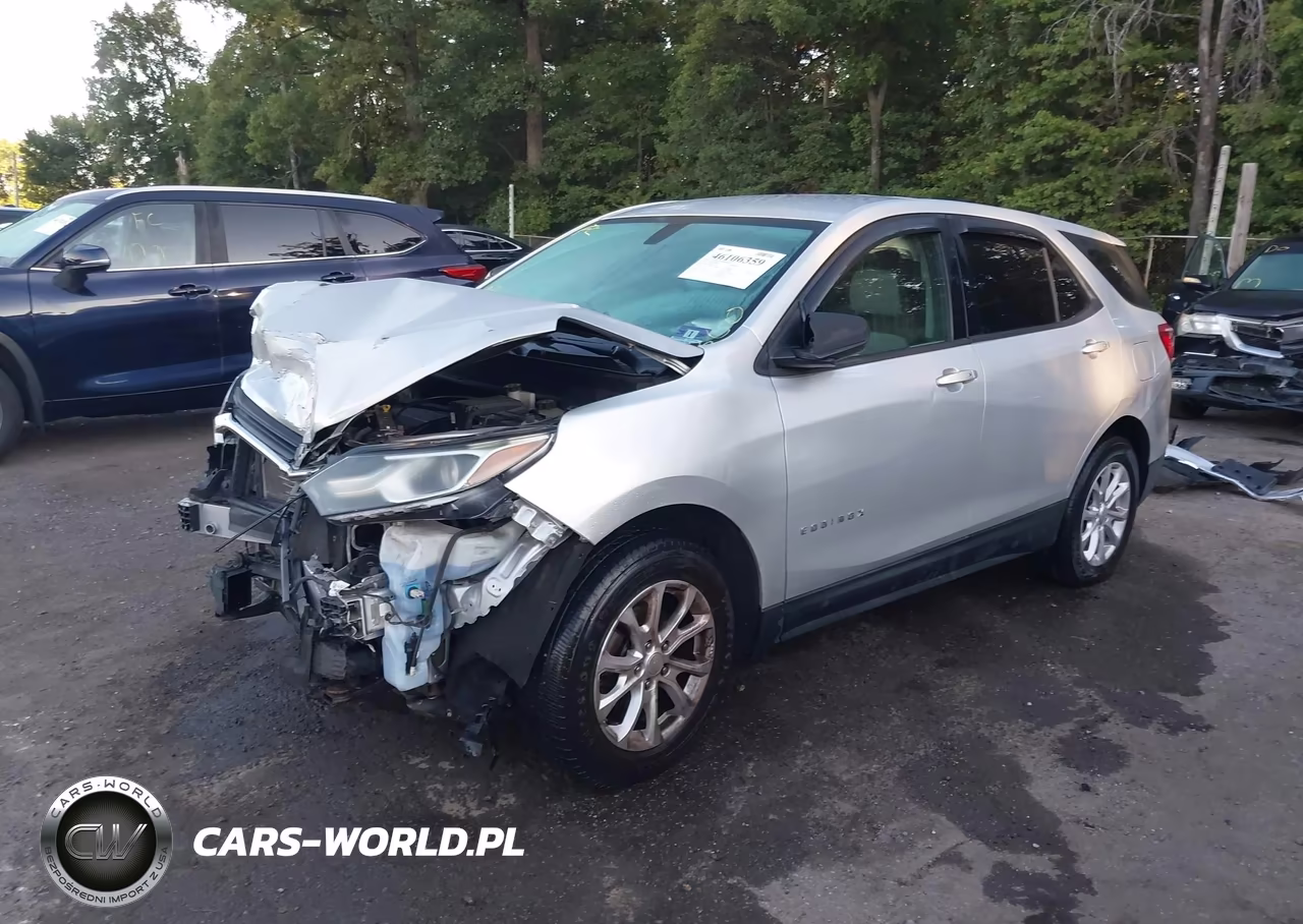 2019 Chevrolet Equinox Ls VIN:3GNAXHEV4KL195360 - 2