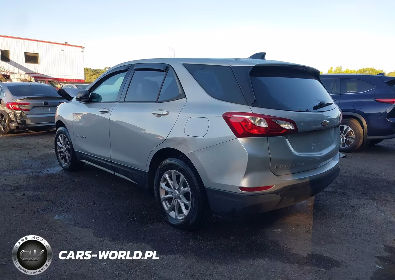 2019 Chevrolet Equinox Ls VIN:3GNAXHEV4KL195360 - 3