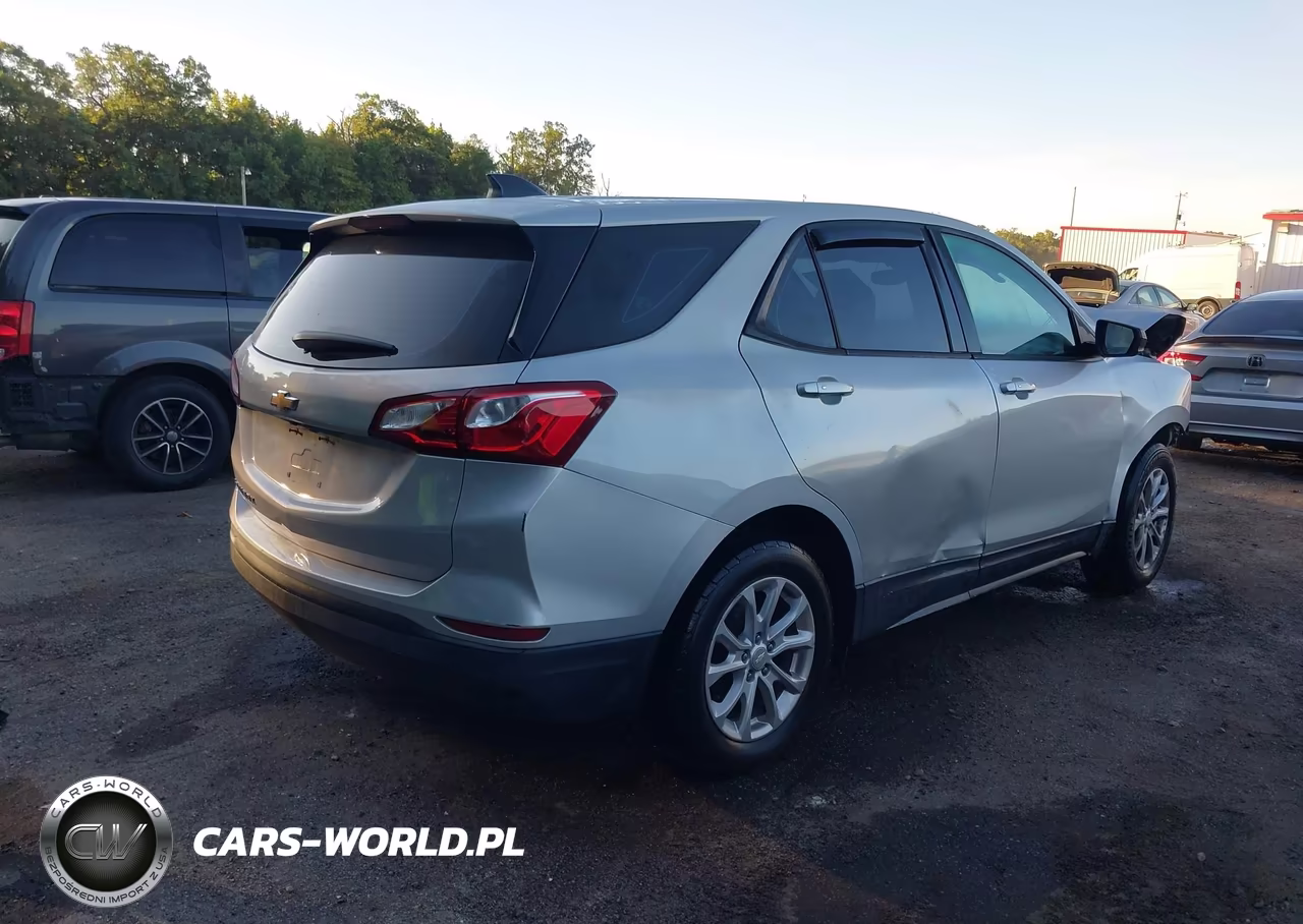 2019 Chevrolet Equinox Ls VIN:3GNAXHEV4KL195360 - 4