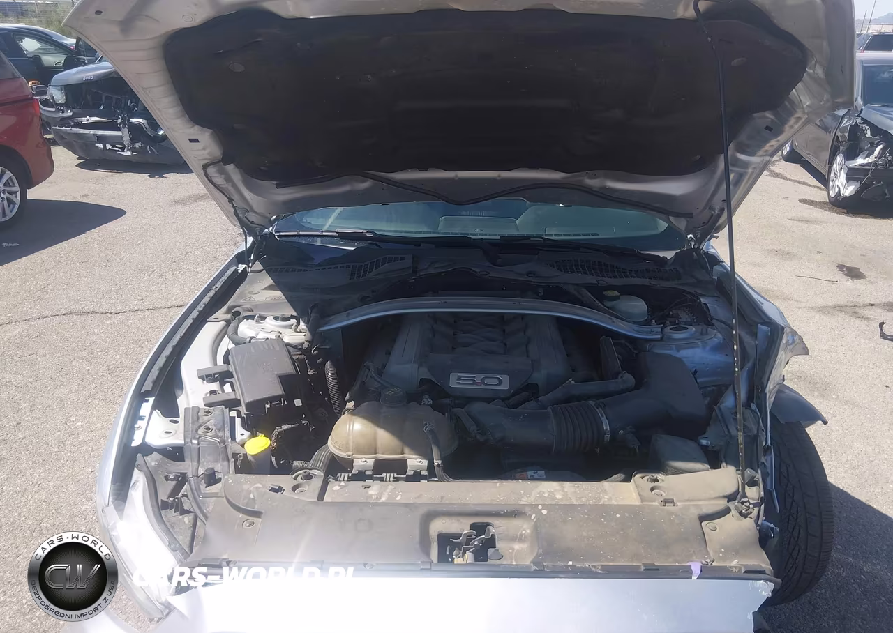 2015 Ford Mustang Gt Premium VIN:1FA6P8CF4F5391935 - 10