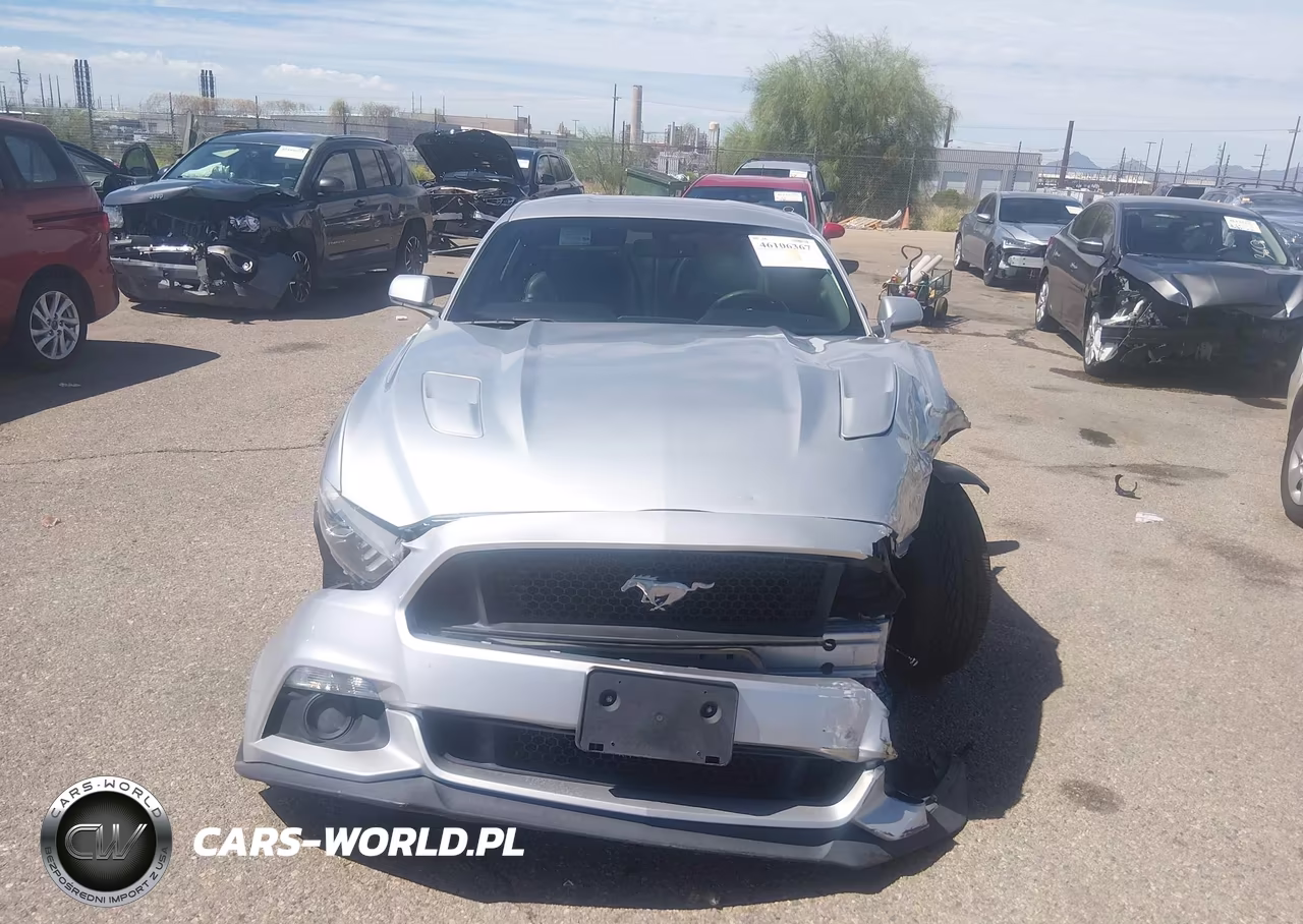 2015 Ford Mustang Gt Premium VIN:1FA6P8CF4F5391935 - 13