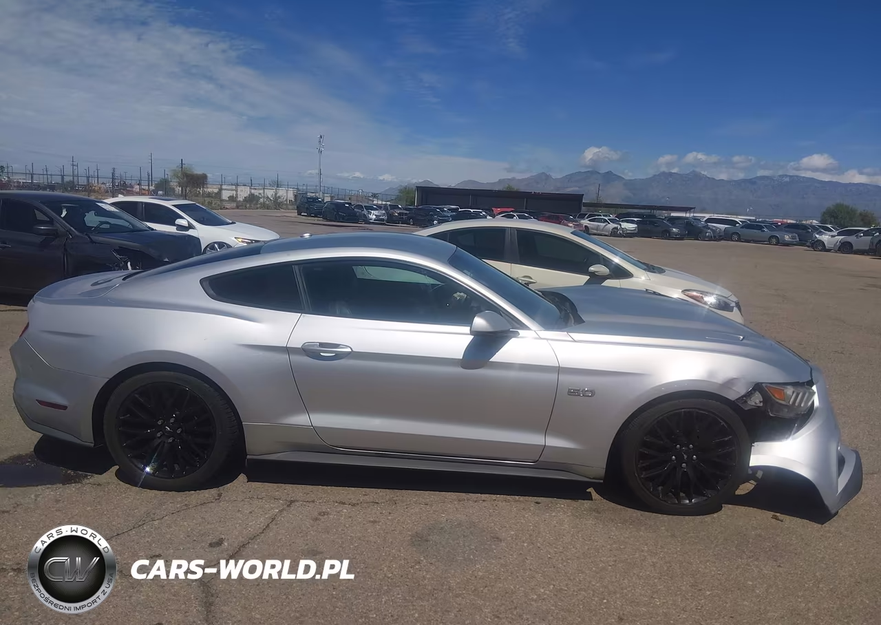 2015 Ford Mustang Gt Premium VIN:1FA6P8CF4F5391935 - 14