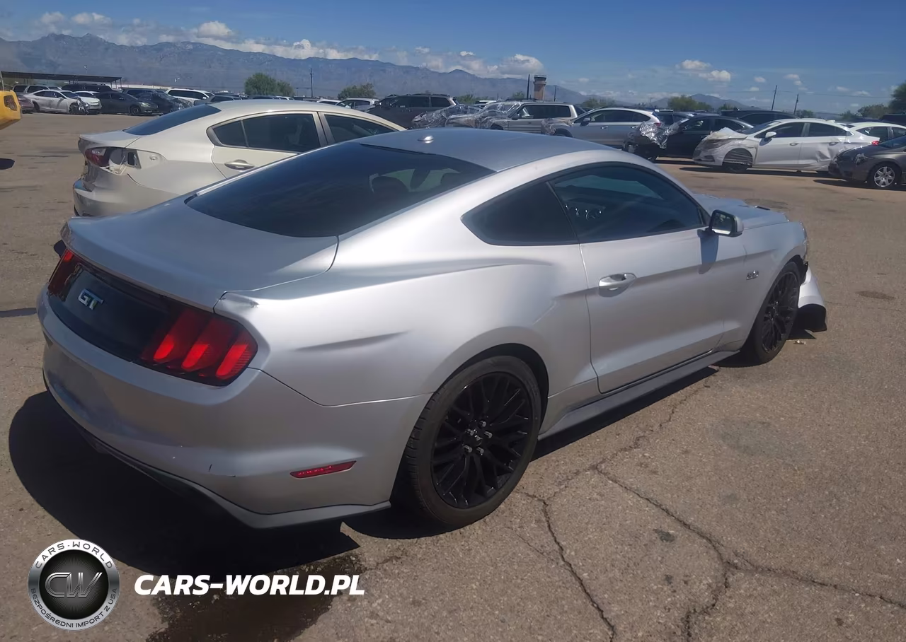 2015 Ford Mustang Gt Premium VIN:1FA6P8CF4F5391935 - 4