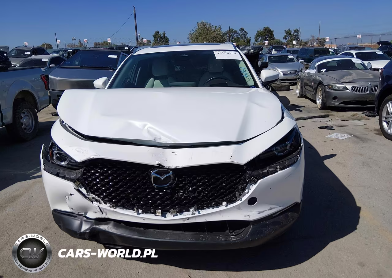 2025 Mazda Cx-30 2.5 S Premium Package VIN:3MVDMBDM4SM789962 - 12