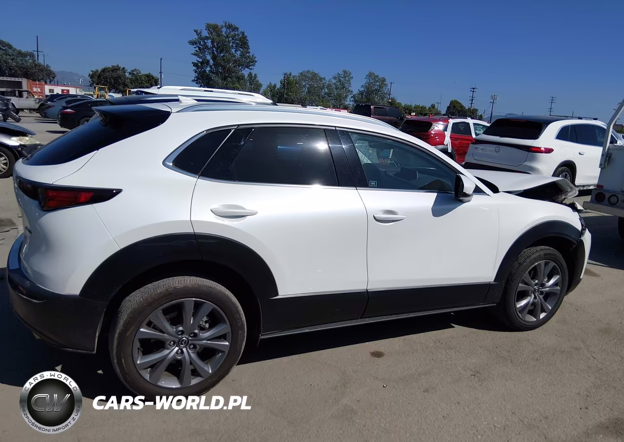 2025 Mazda Cx-30 2.5 S Premium Package VIN:3MVDMBDM4SM789962 - 13