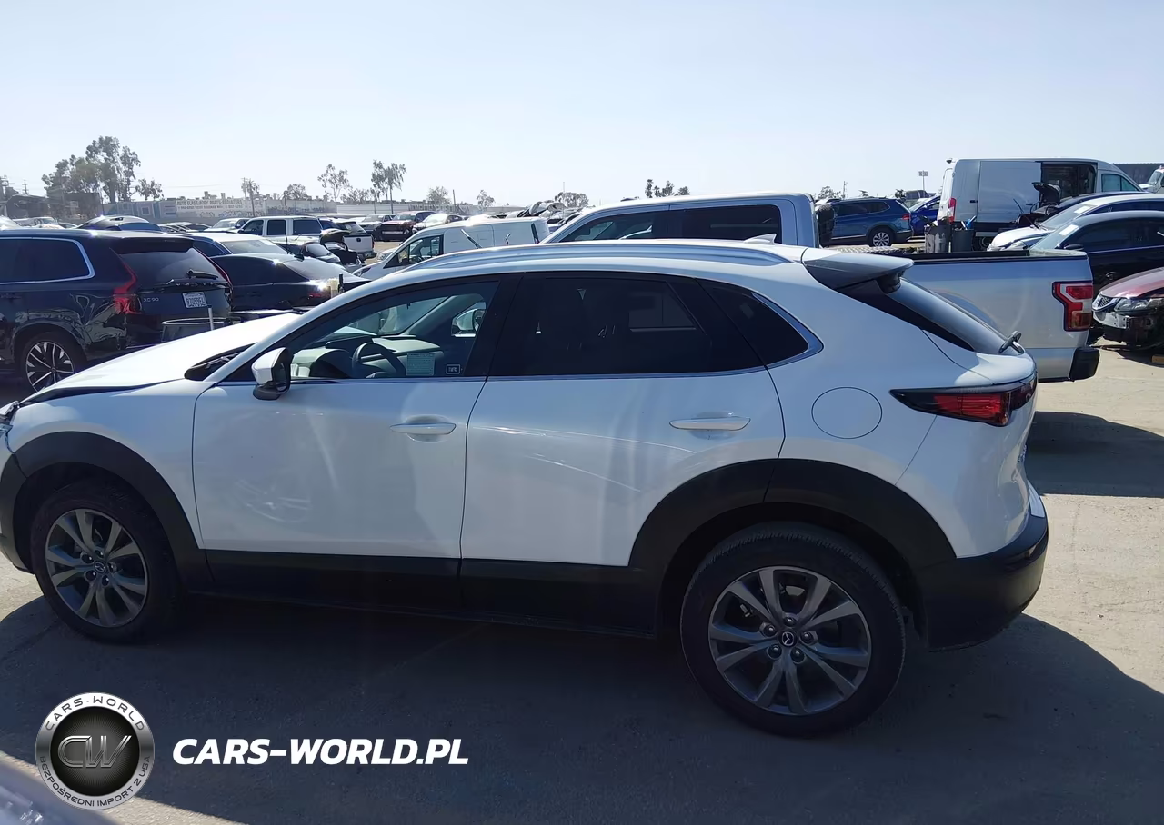 2025 Mazda Cx-30 2.5 S Premium Package VIN:3MVDMBDM4SM789962 - 14