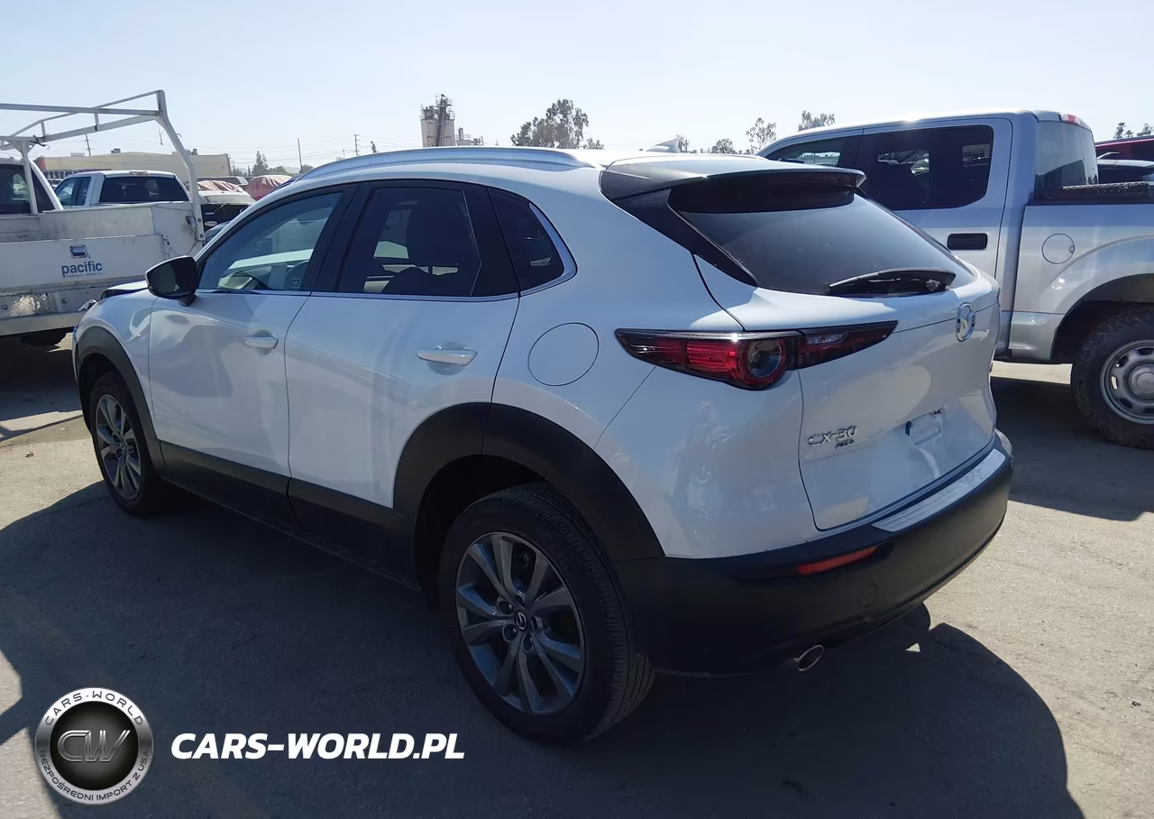 2025 Mazda Cx-30 2.5 S Premium Package VIN:3MVDMBDM4SM789962 - 3