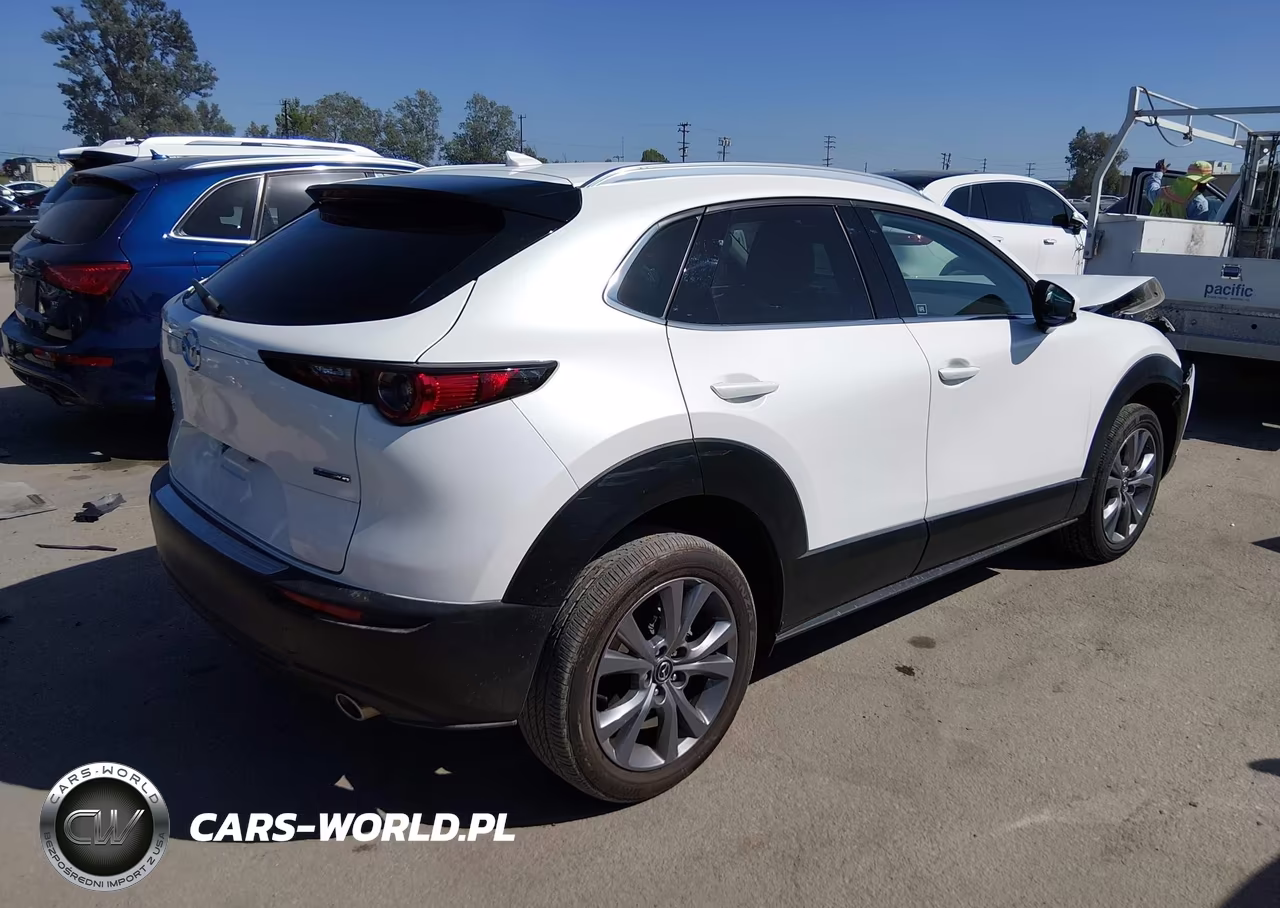 2025 Mazda Cx-30 2.5 S Premium Package VIN:3MVDMBDM4SM789962 - 4