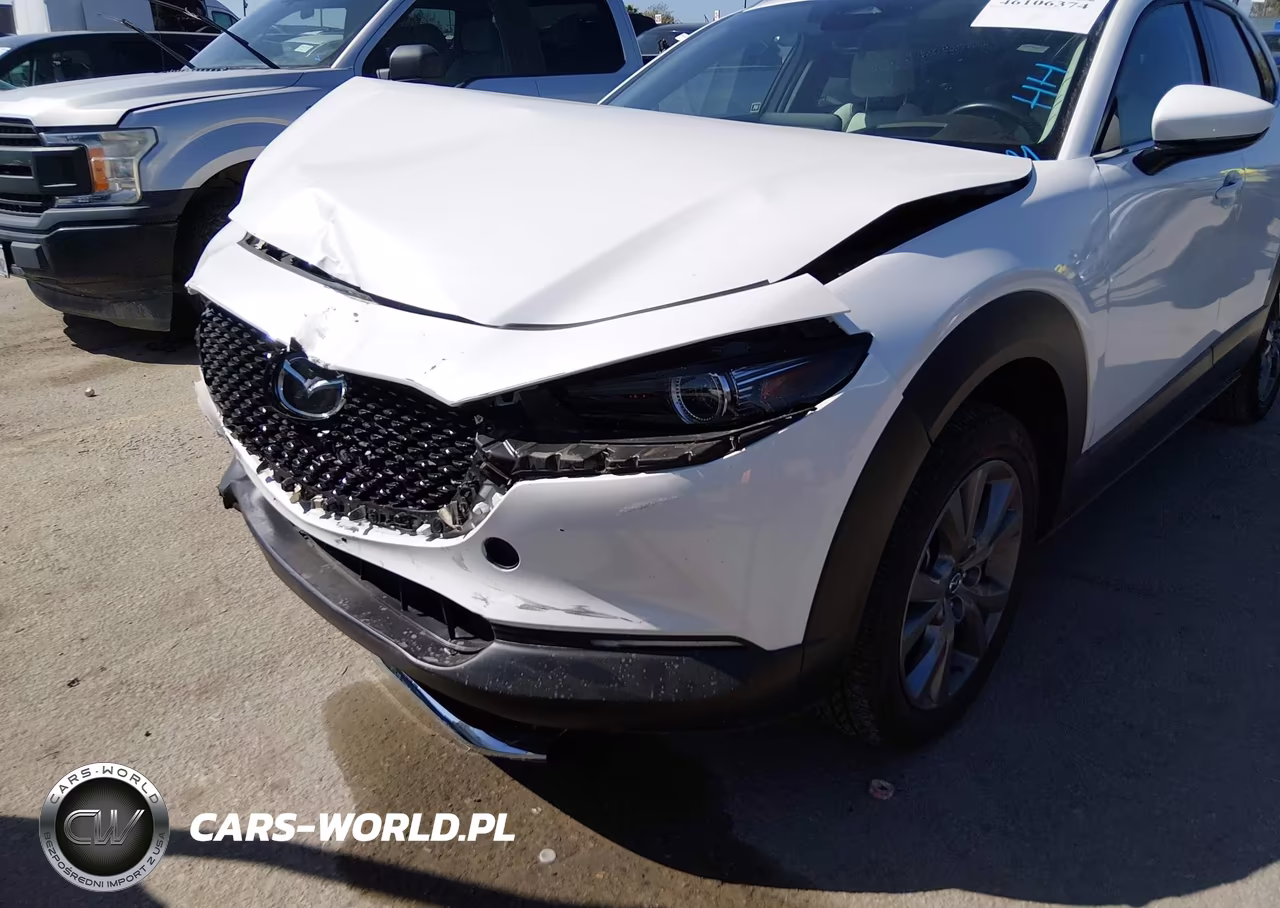 2025 Mazda Cx-30 2.5 S Premium Package VIN:3MVDMBDM4SM789962 - 6