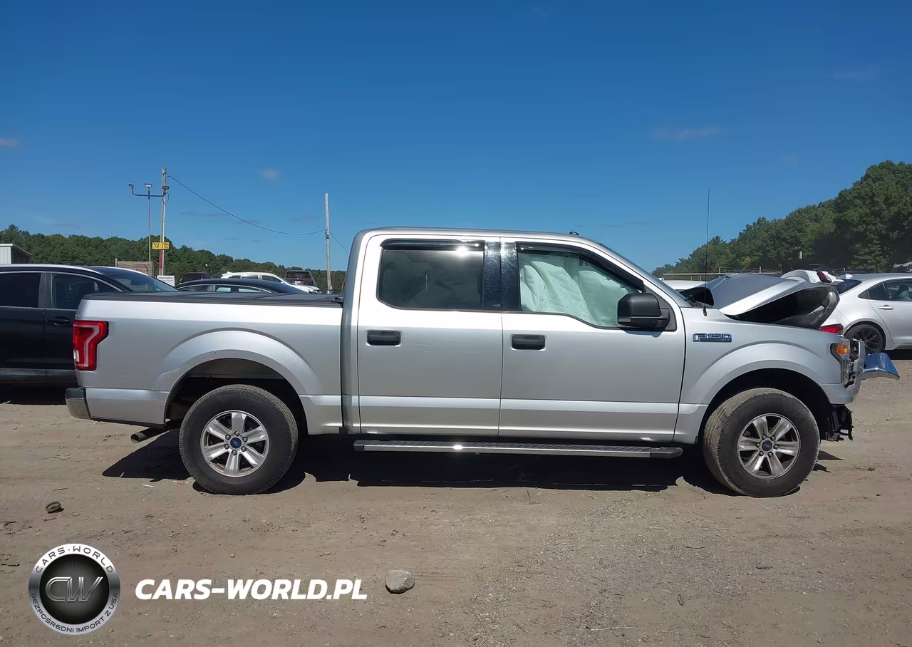 2016 Ford F-150 Xlt VIN:1FTEW1E80GFB60184 - 12