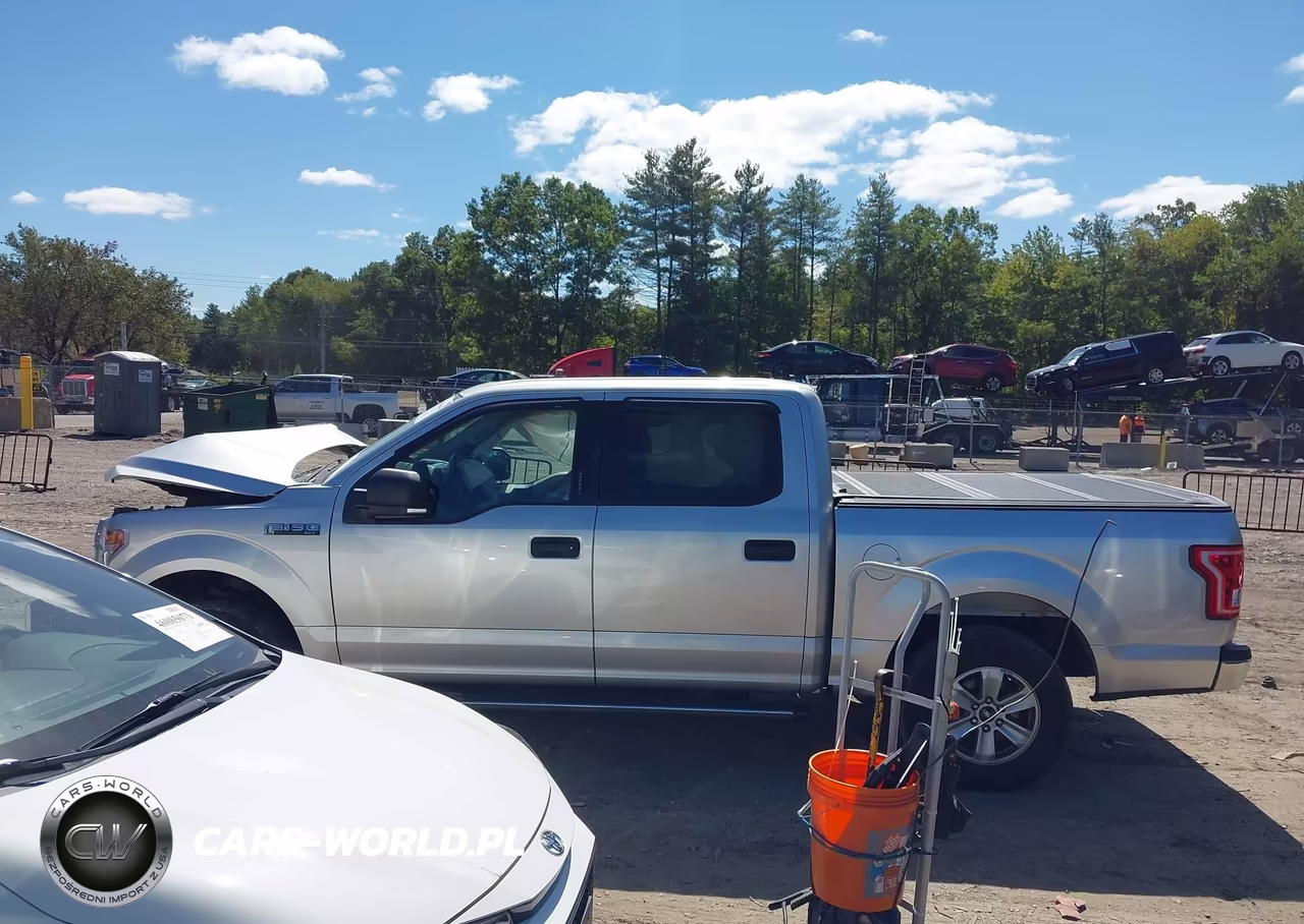 2016 Ford F-150 Xlt VIN:1FTEW1E80GFB60184 - 13