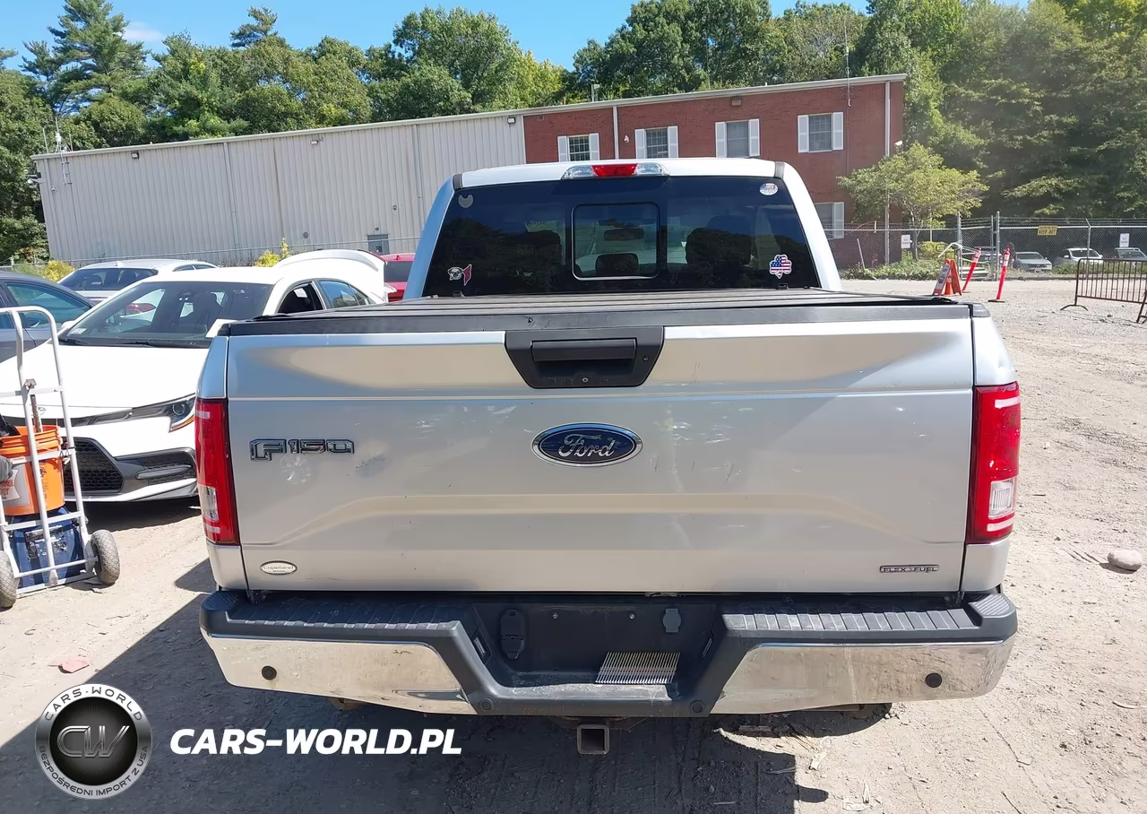 2016 Ford F-150 Xlt VIN:1FTEW1E80GFB60184 - 15