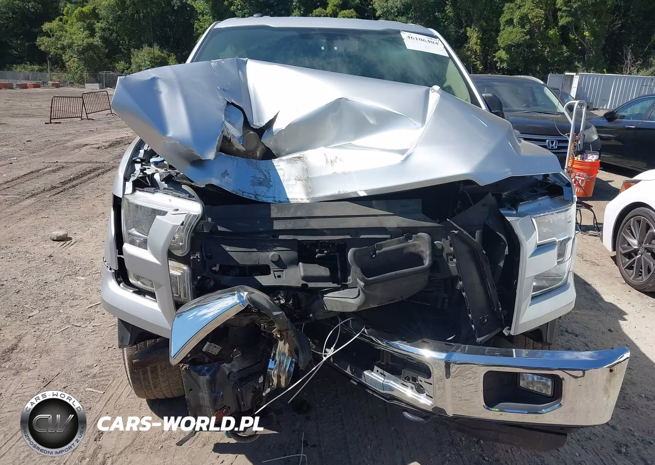 2016 Ford F-150 Xlt VIN:1FTEW1E80GFB60184 - 6