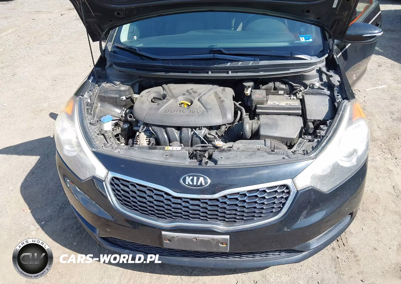 2016 Kia Forte Lx VIN:KNAFX4A68G5534860 - 10