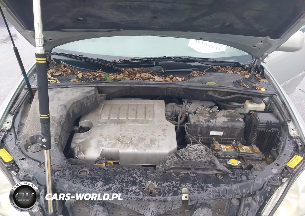 2007 Lexus Rx 350 VIN:2T2GK31U37C017964 - 10