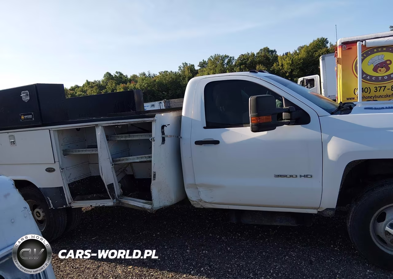 2016 Chevrolet Silverado 3500Hd Chassis Wt VIN:1GB3CYC84GF274639 - 13