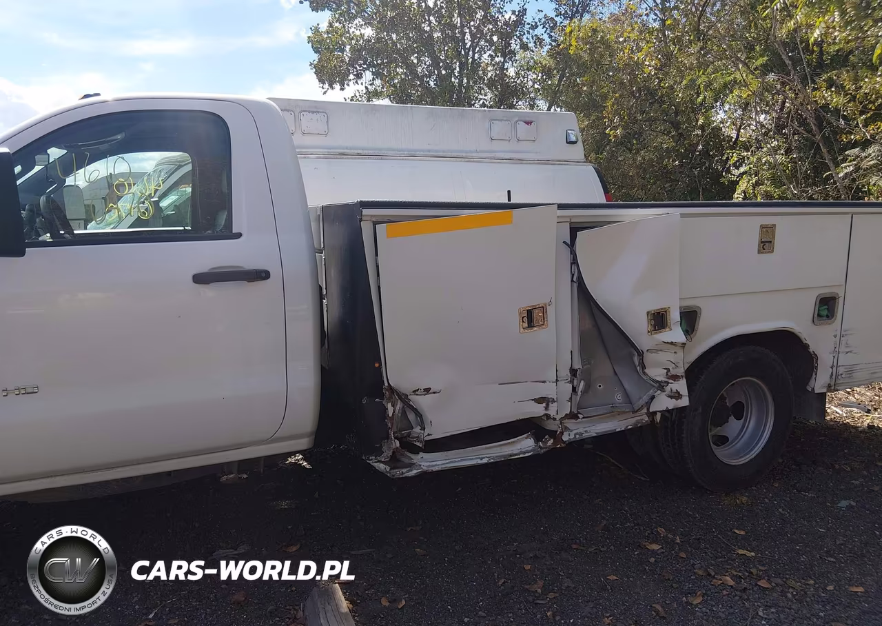 2017 Chevrolet Silverado 3500Hd Chassis Wt VIN:1GB3CYCY1HF178548 - 11