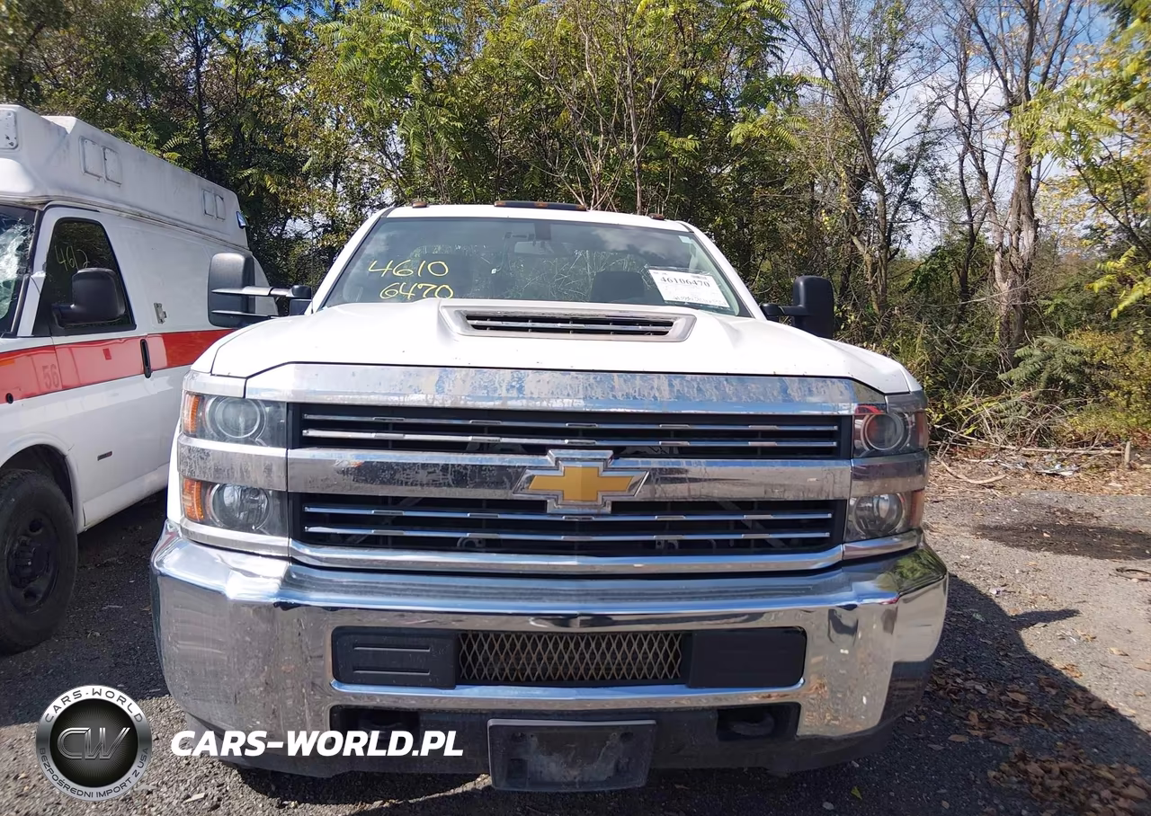 2017 Chevrolet Silverado 3500Hd Chassis Wt VIN:1GB3CYCY1HF178548 - 13
