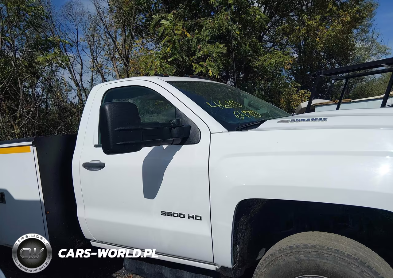 2017 Chevrolet Silverado 3500Hd Chassis Wt VIN:1GB3CYCY1HF178548 - 14