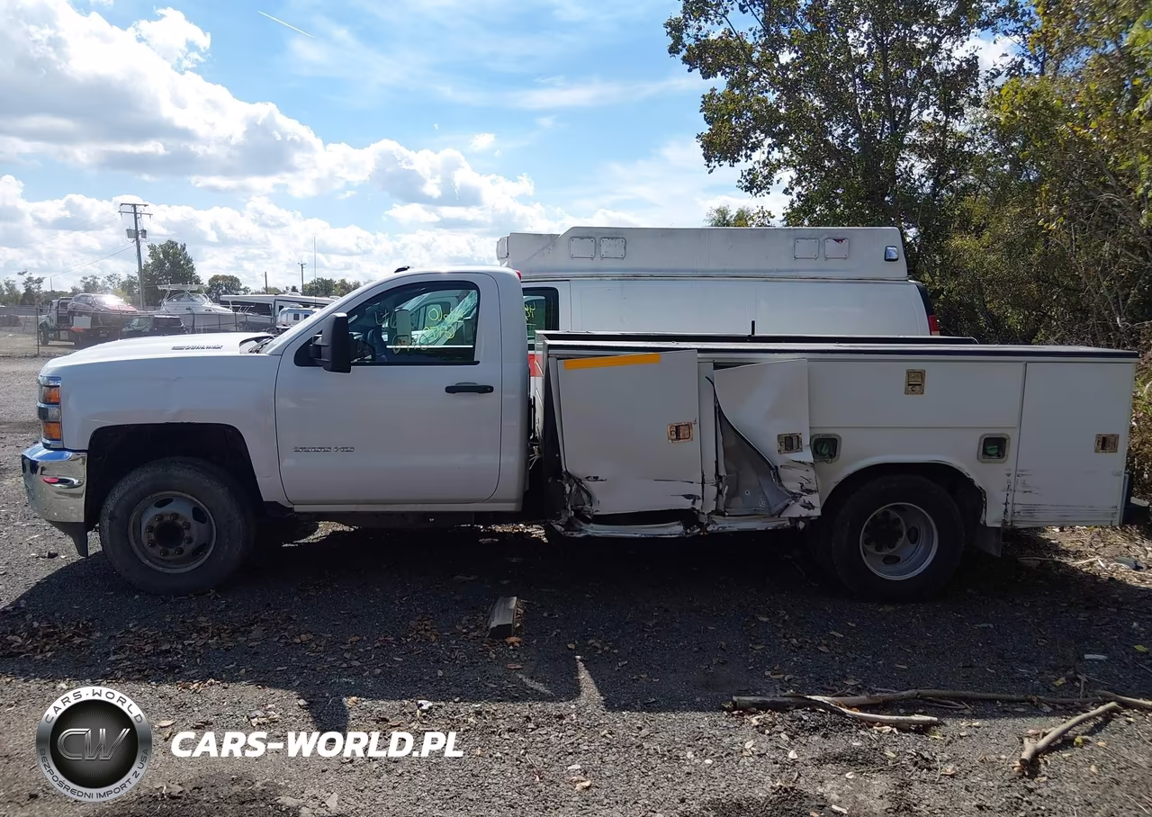 2017 Chevrolet Silverado 3500Hd Chassis Wt VIN:1GB3CYCY1HF178548 - 15