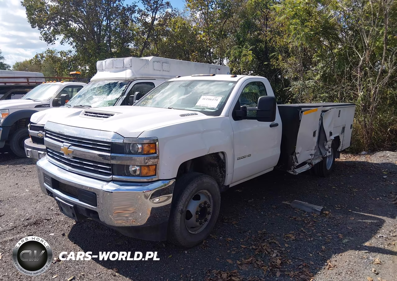2017 Chevrolet Silverado 3500Hd Chassis Wt VIN:1GB3CYCY1HF178548 - 2