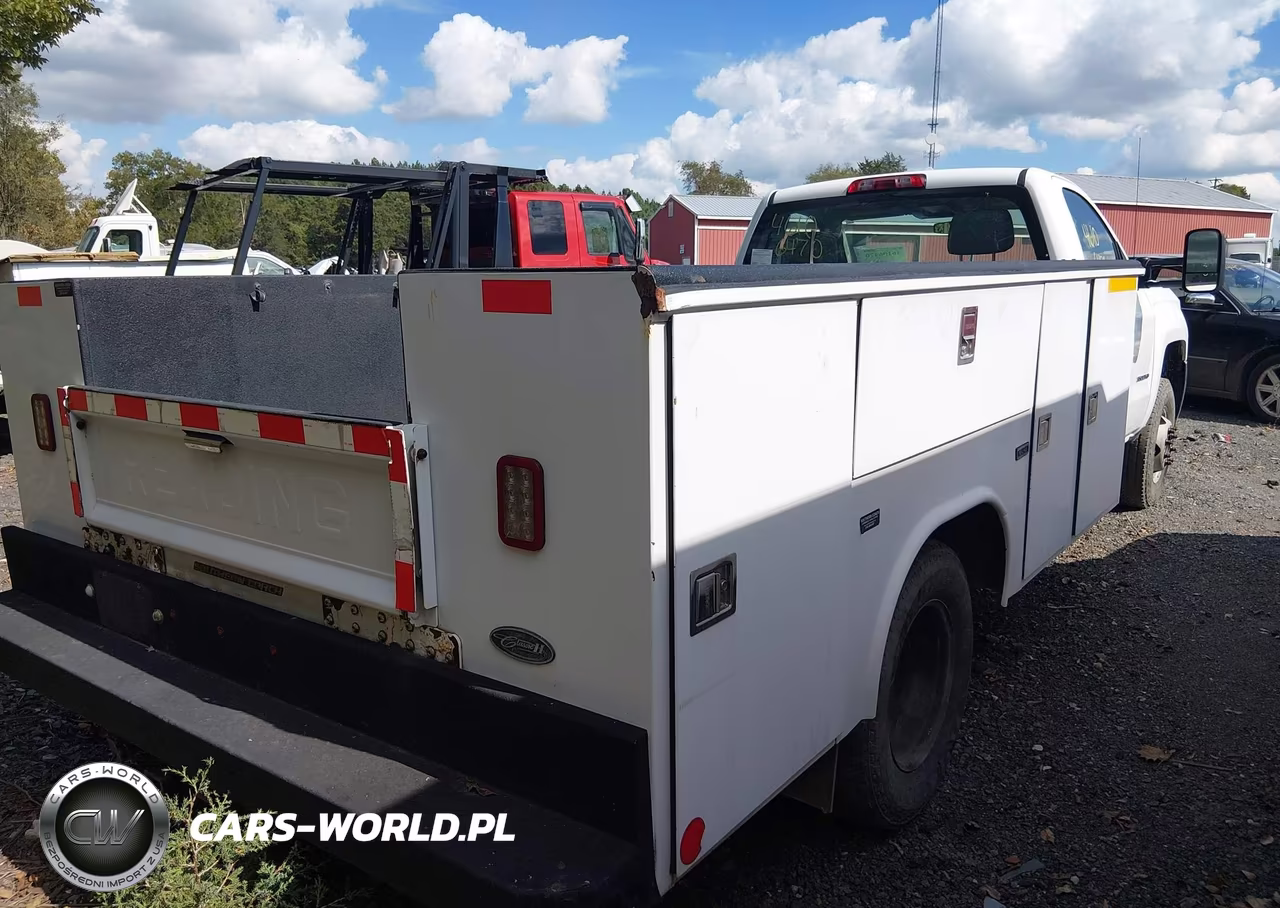2017 Chevrolet Silverado 3500Hd Chassis Wt VIN:1GB3CYCY1HF178548 - 4