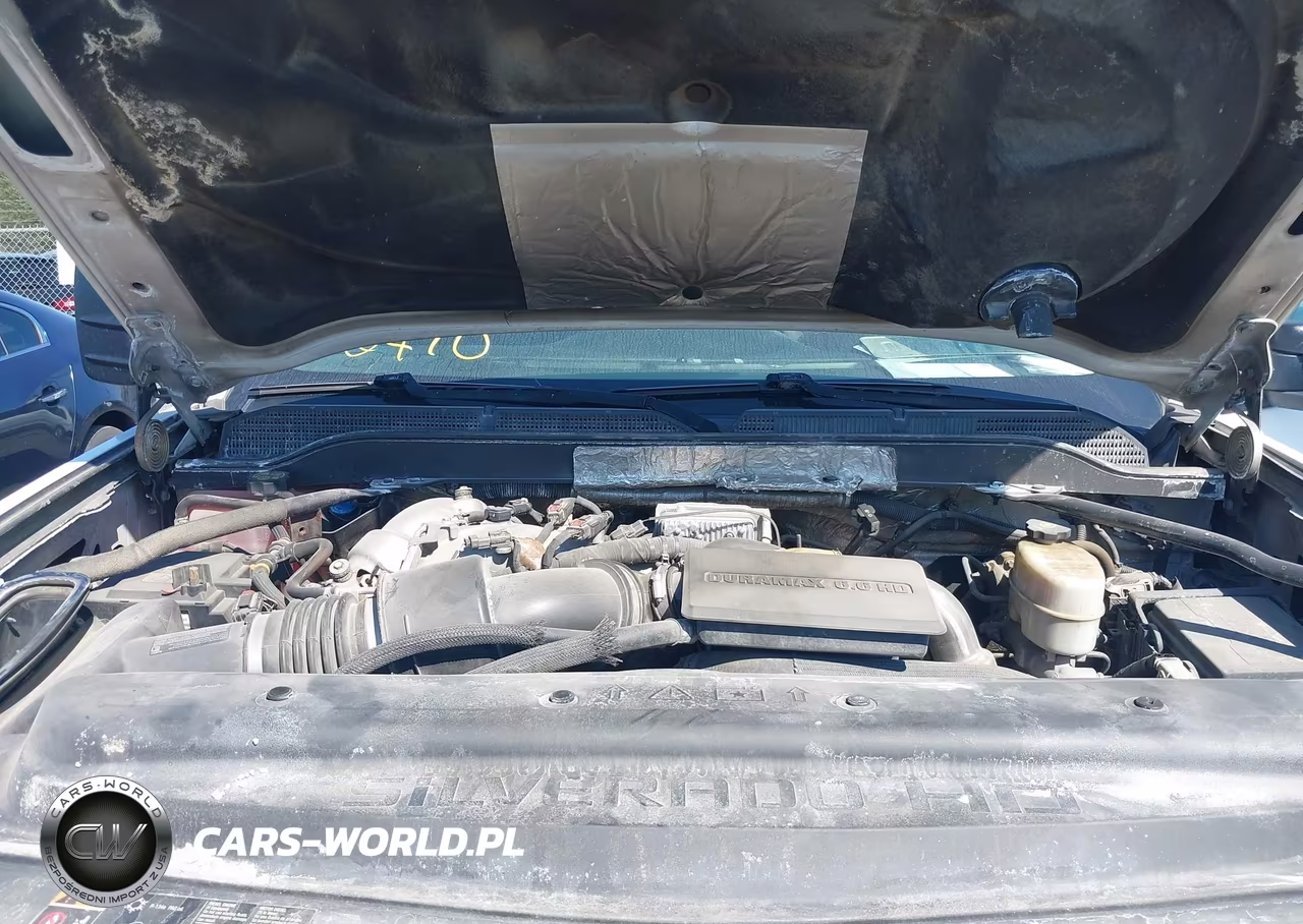 2017 Chevrolet Silverado 3500Hd Chassis Wt VIN:1GB3CYCY1HF178548 - 9