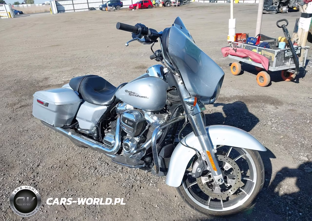 2020 Harley-Davidson Flhx