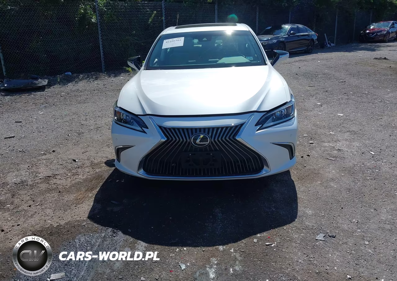 2019 Lexus Es 350 VIN:58ABZ1B1XKU047479 - 12