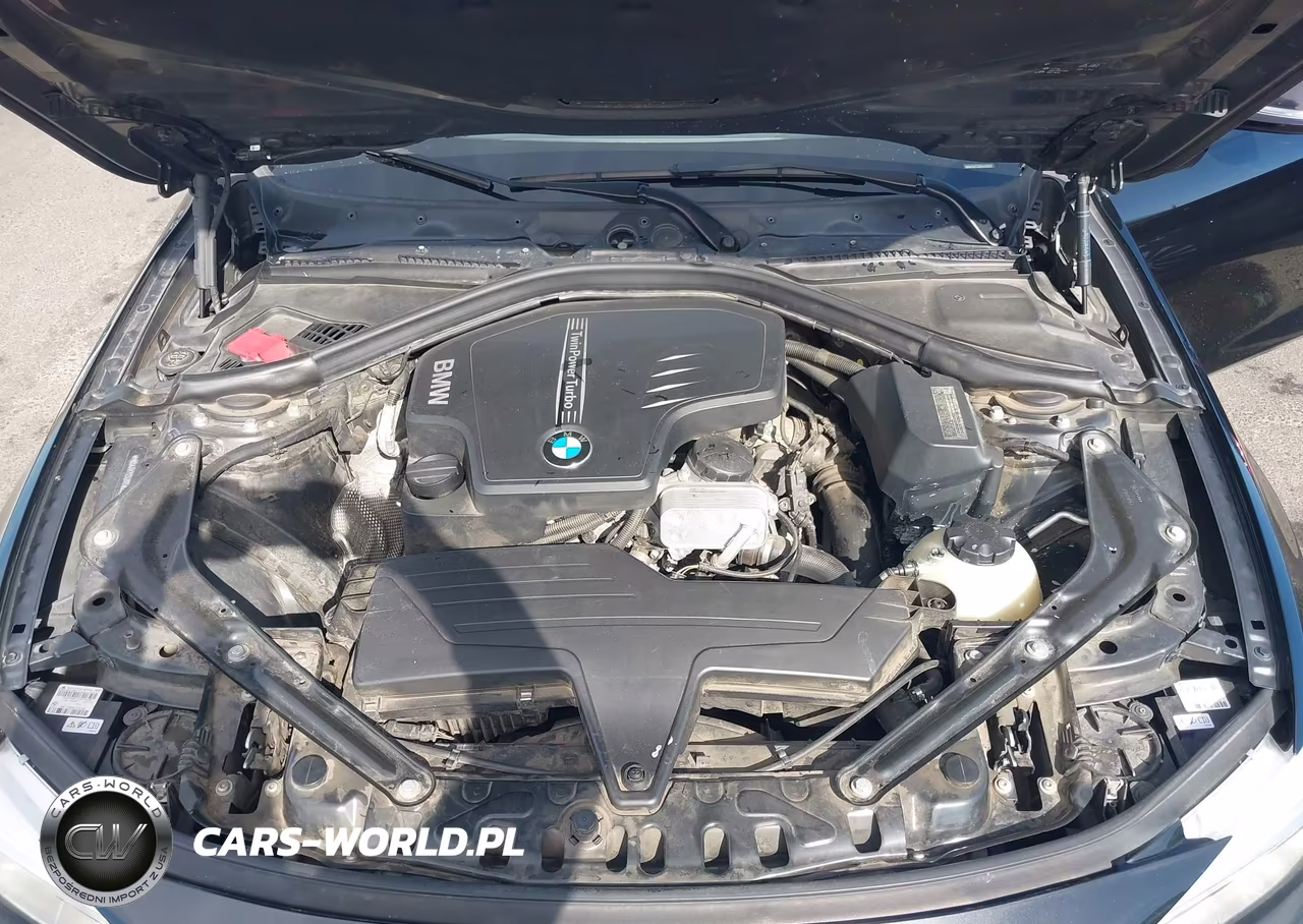 2016 BMW 428I VIN:WBA3V7C52G5A25252 - 10