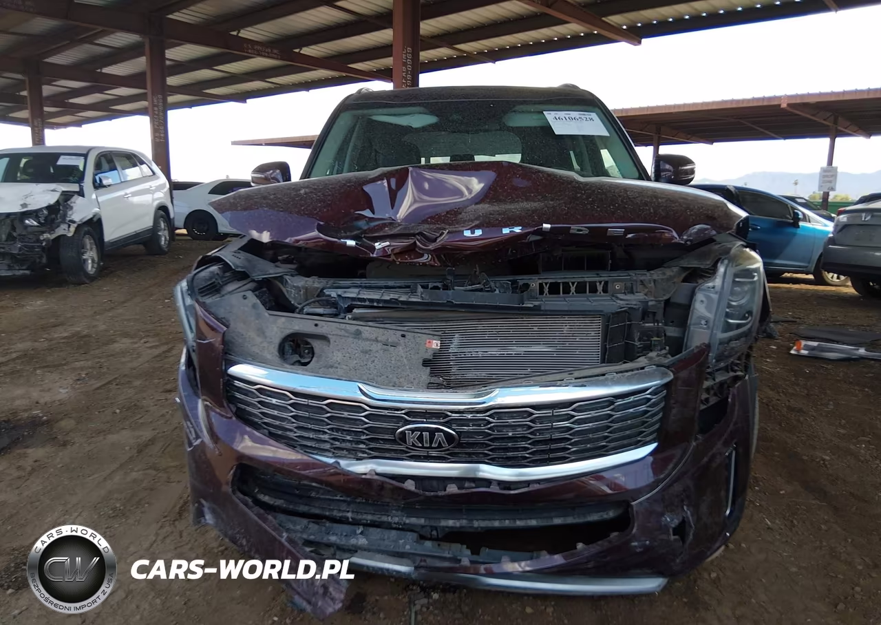 2020 Kia Telluride Ex VIN:5XYP34HC7LG030770 - 12