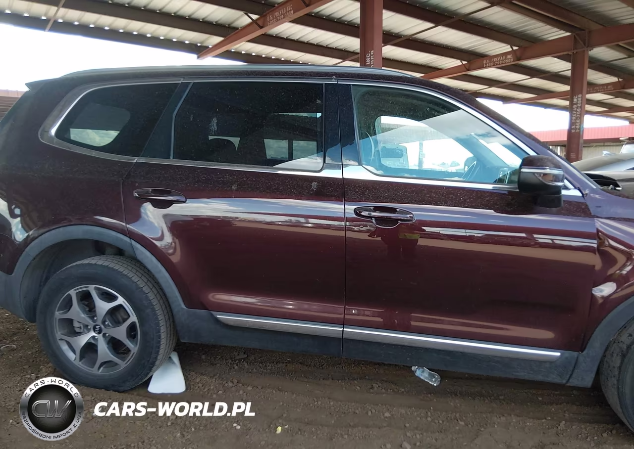 2020 Kia Telluride Ex VIN:5XYP34HC7LG030770 - 13