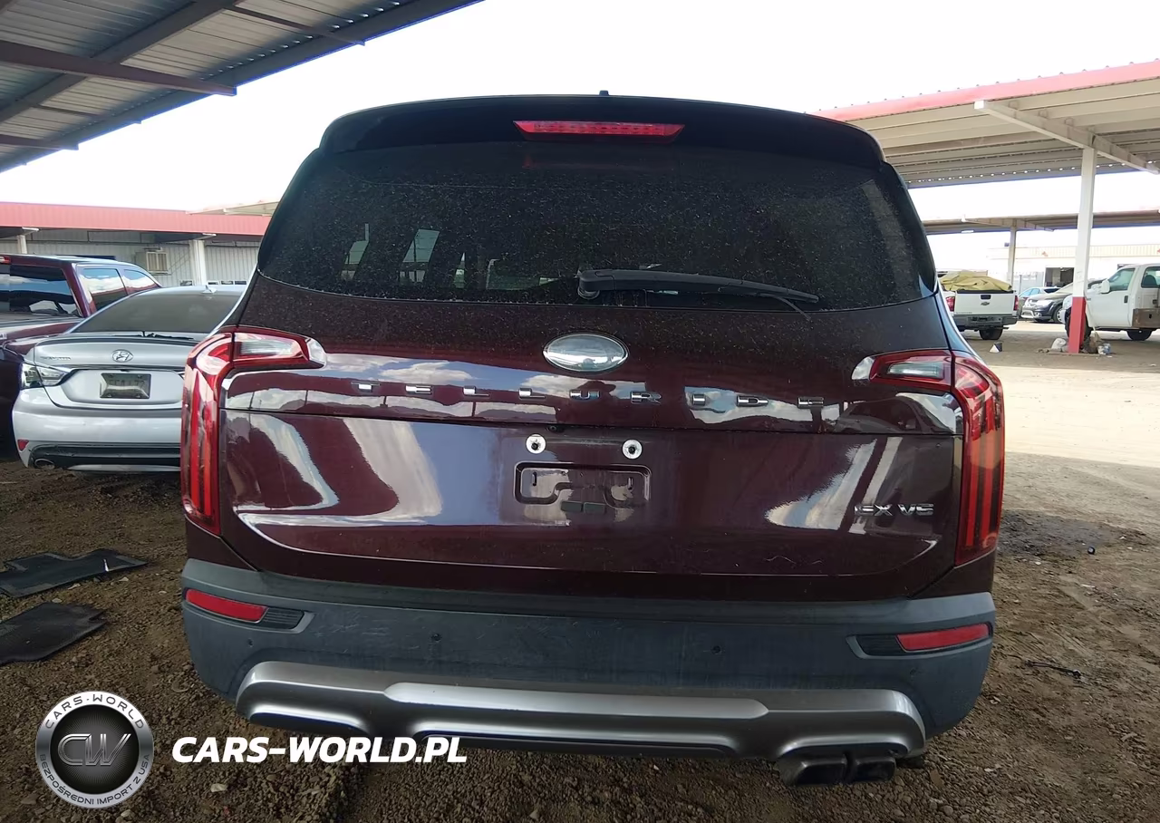 2020 Kia Telluride Ex VIN:5XYP34HC7LG030770 - 16