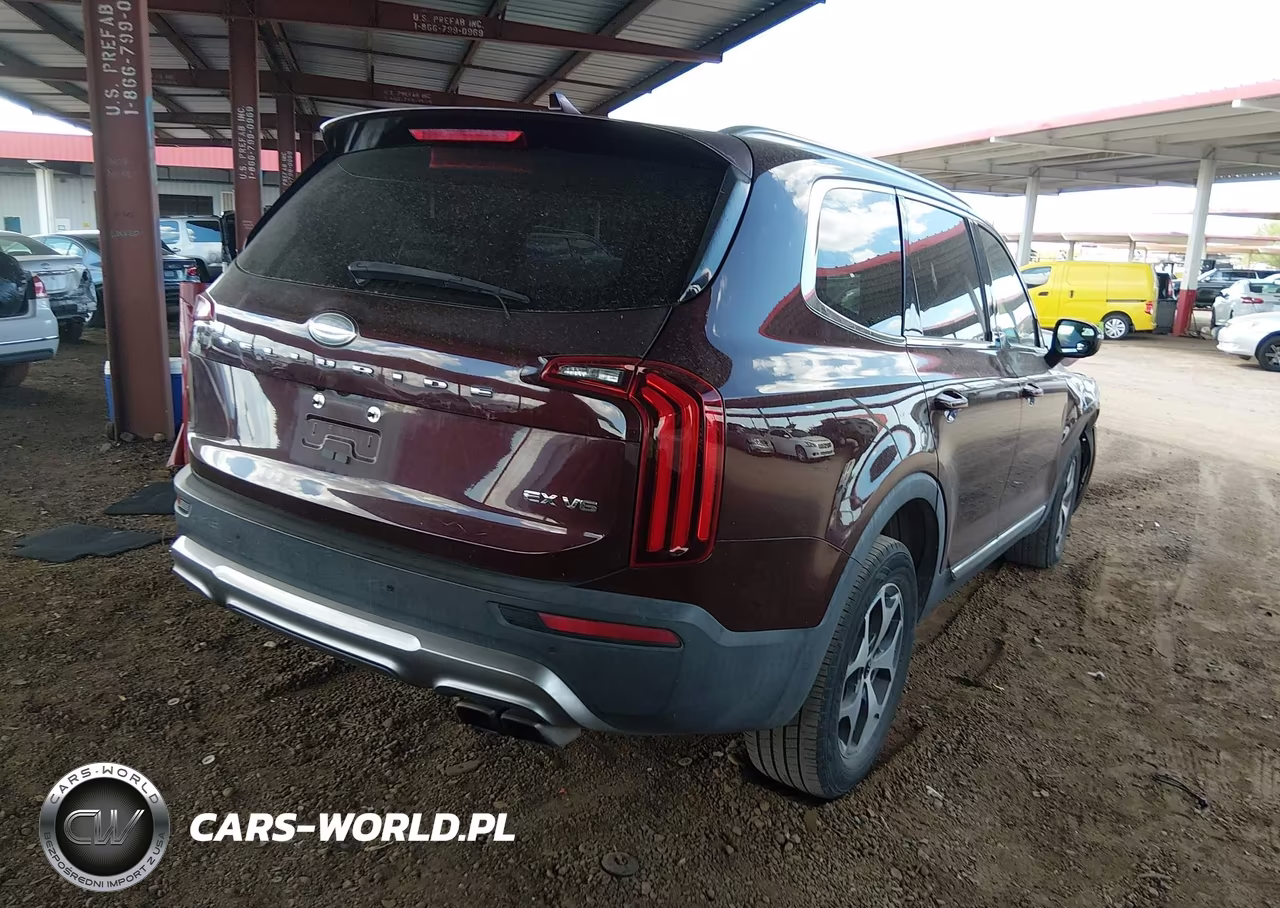 2020 Kia Telluride Ex VIN:5XYP34HC7LG030770 - 4