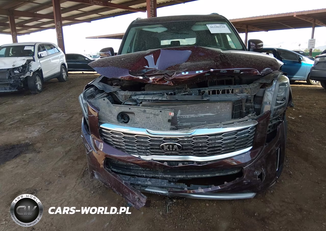 2020 Kia Telluride Ex VIN:5XYP34HC7LG030770 - 6