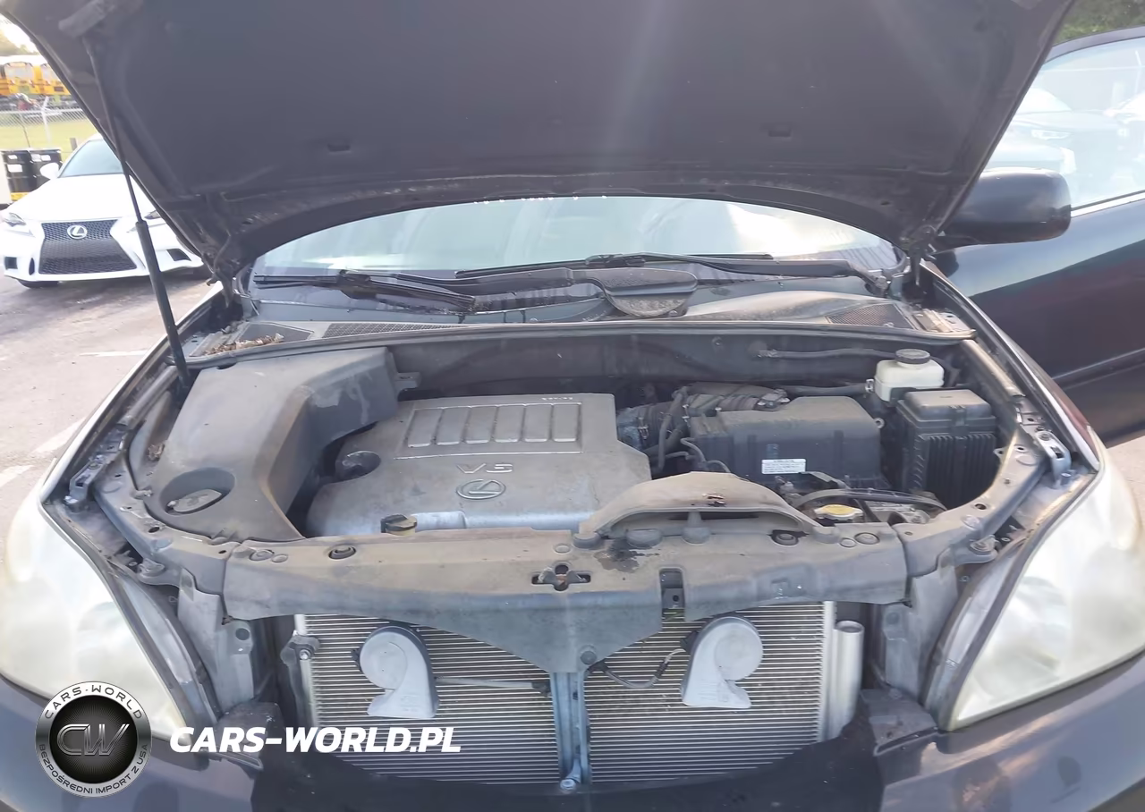 2009 Lexus Rx 350 VIN:2T2GK31U79C067897 - 10