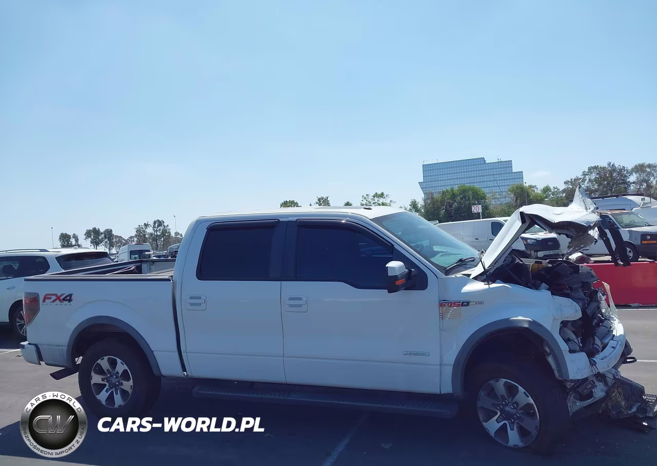 2013 Ford F-150 Fx4 VIN:1FTFW1ET1DKG31819 - 13