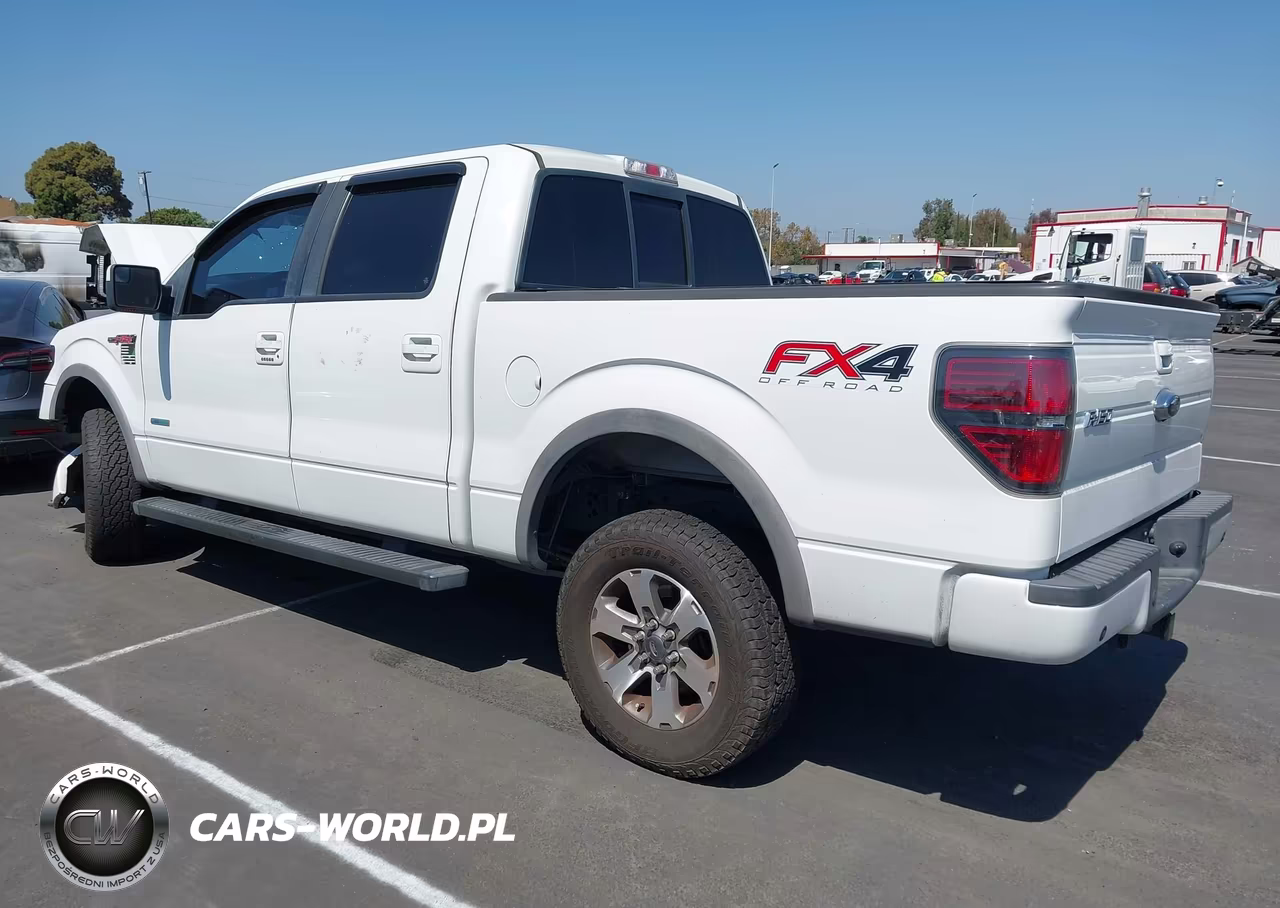2013 Ford F-150 Fx4 VIN:1FTFW1ET1DKG31819 - 3
