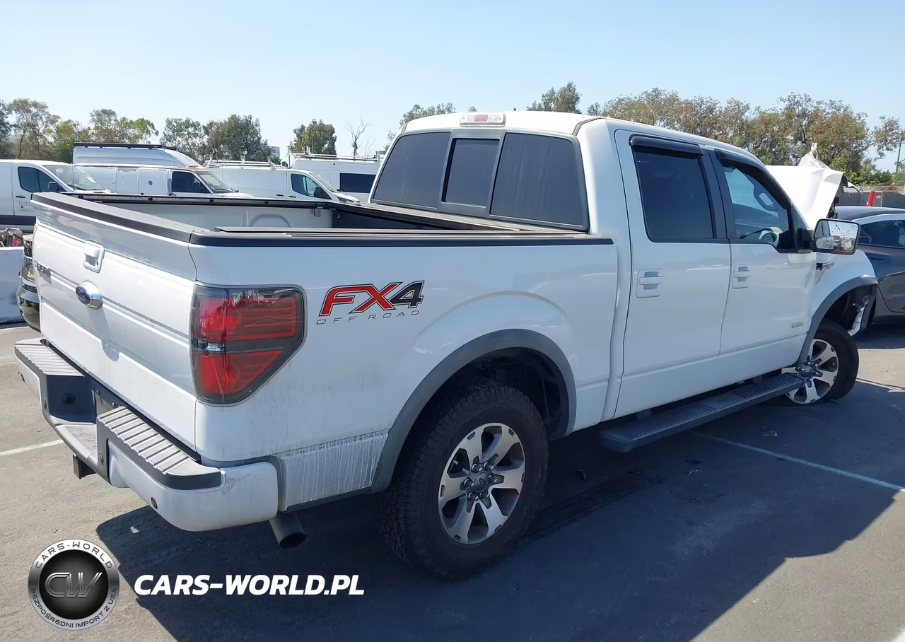2013 Ford F-150 Fx4 VIN:1FTFW1ET1DKG31819 - 4