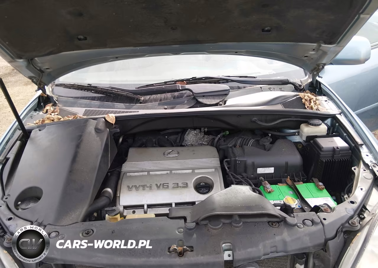 2006 Lexus Rx 330 VIN:2T2HA31U86C087515 - 10