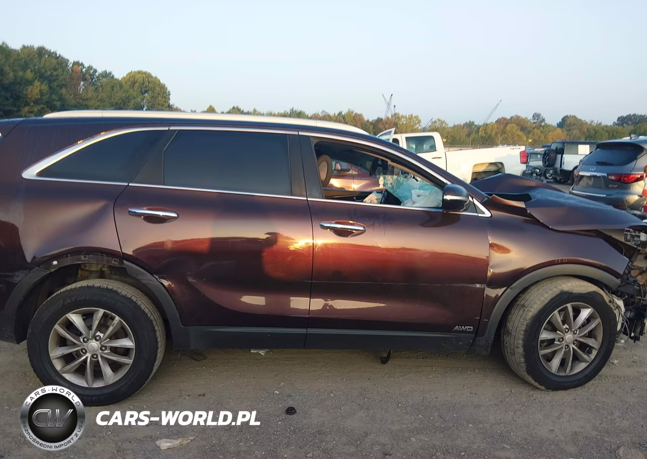 2016 Kia Sorento 2.4L Lx VIN:5XYPGDA38GG078735 - 14