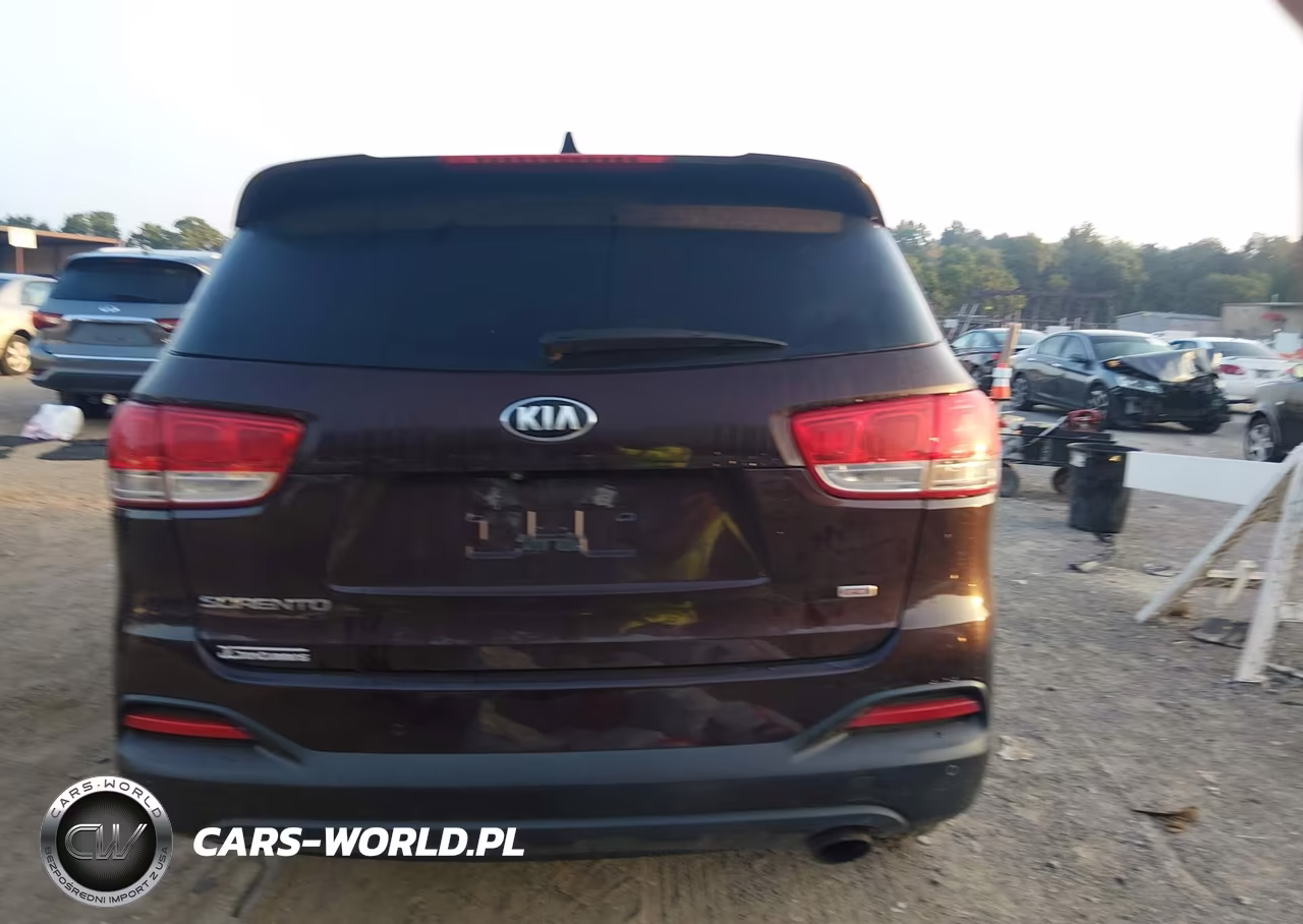 2016 Kia Sorento 2.4L Lx VIN:5XYPGDA38GG078735 - 17