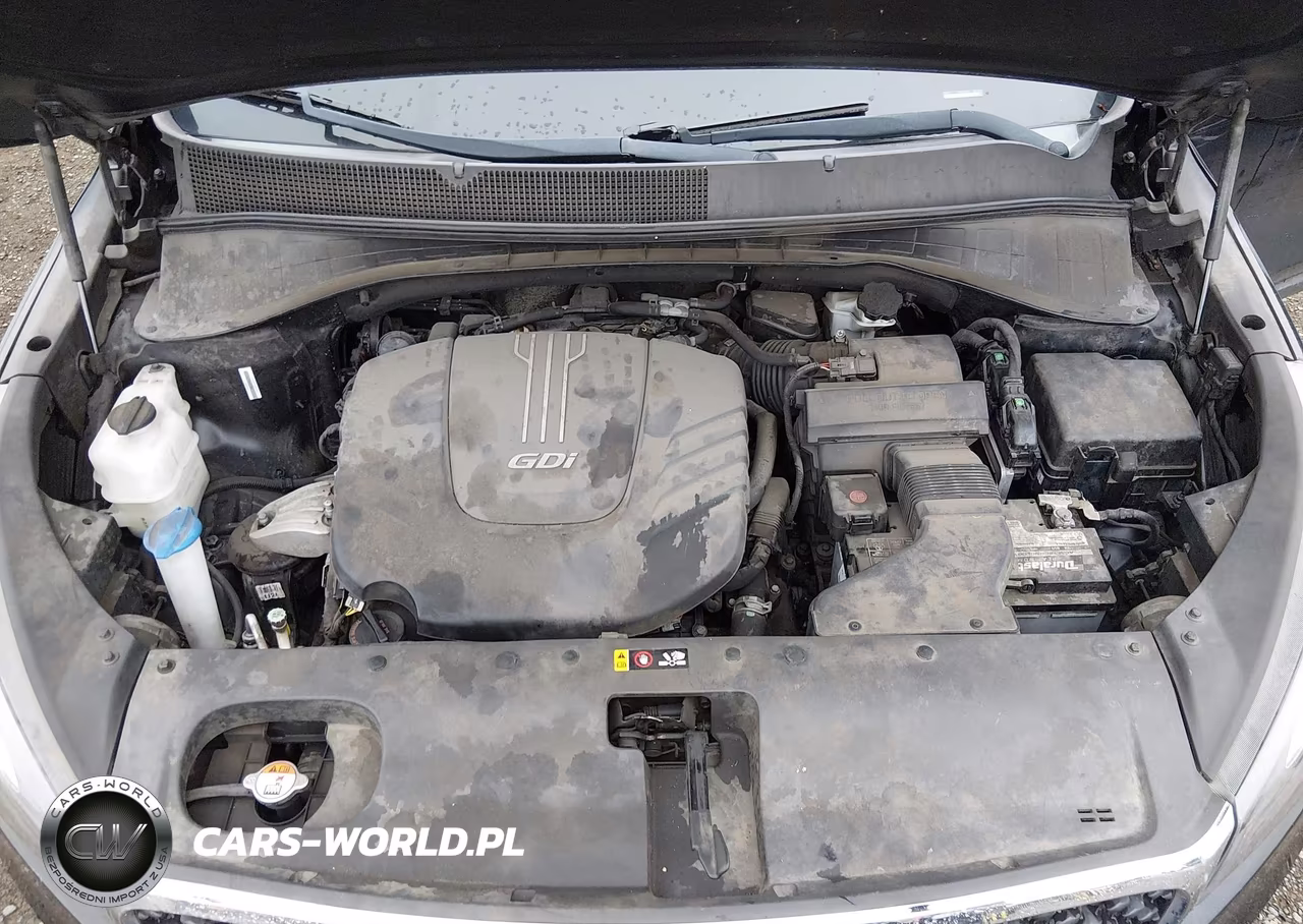 2016 Kia Sorento 3.3L Lx VIN:5XYPGDA57GG142068 - 10