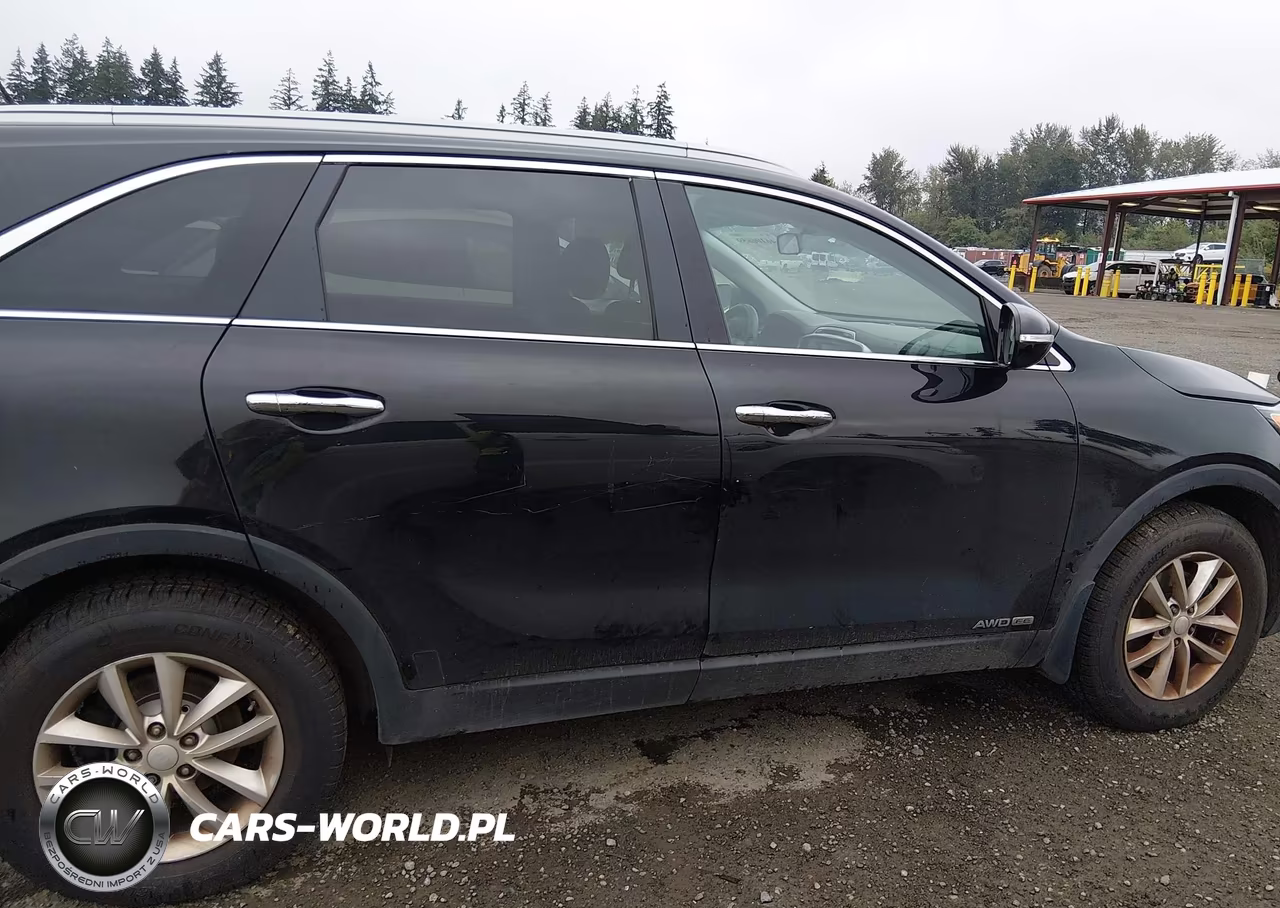 2016 Kia Sorento 3.3L Lx VIN:5XYPGDA57GG142068 - 13