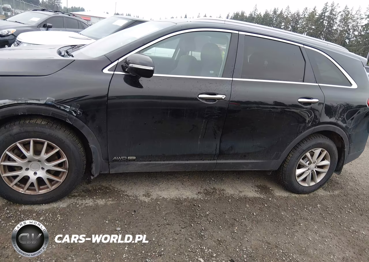 2016 Kia Sorento 3.3L Lx VIN:5XYPGDA57GG142068 - 14