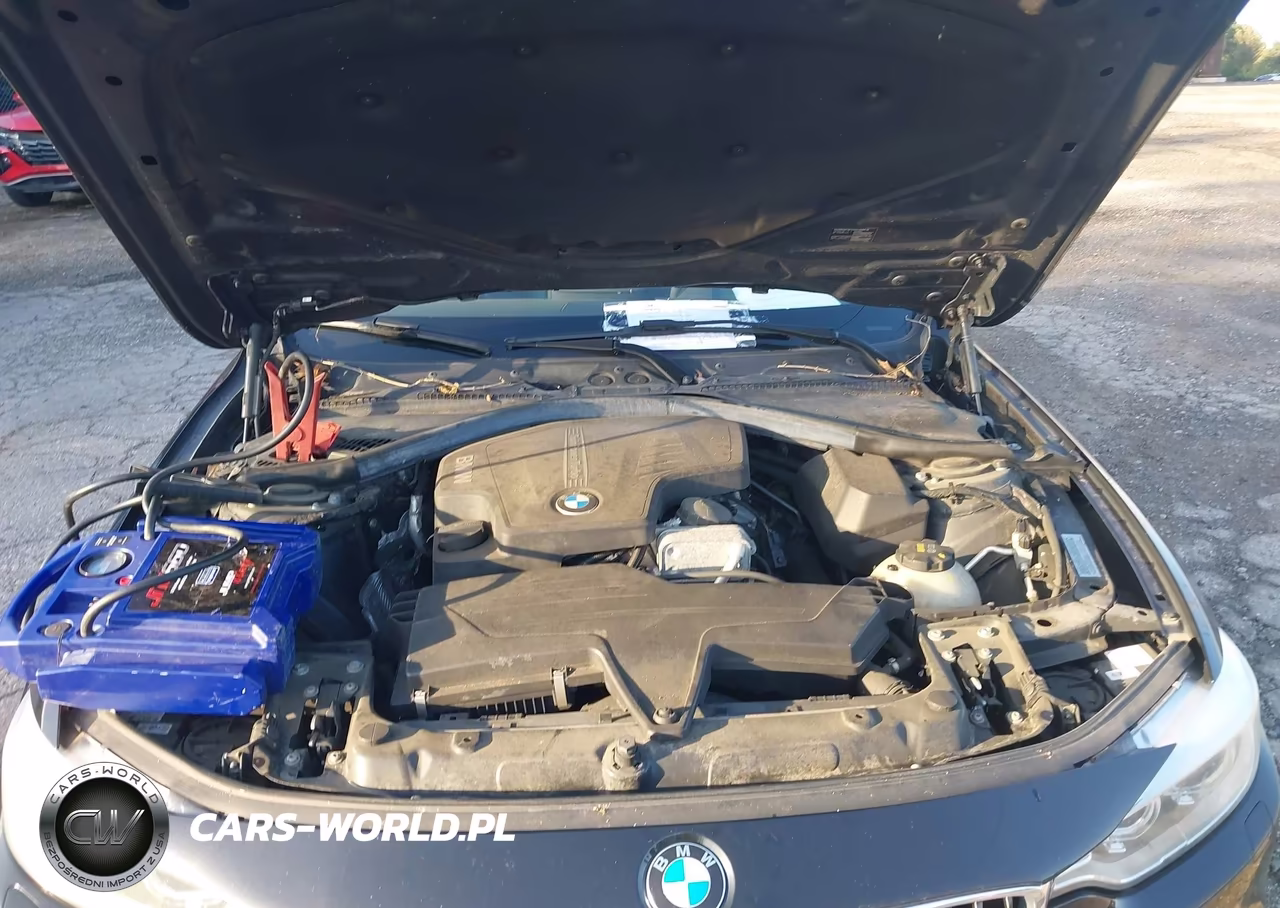 2015 BMW 428I xDrive VIN:WBA3N5C52FK197914 - 10