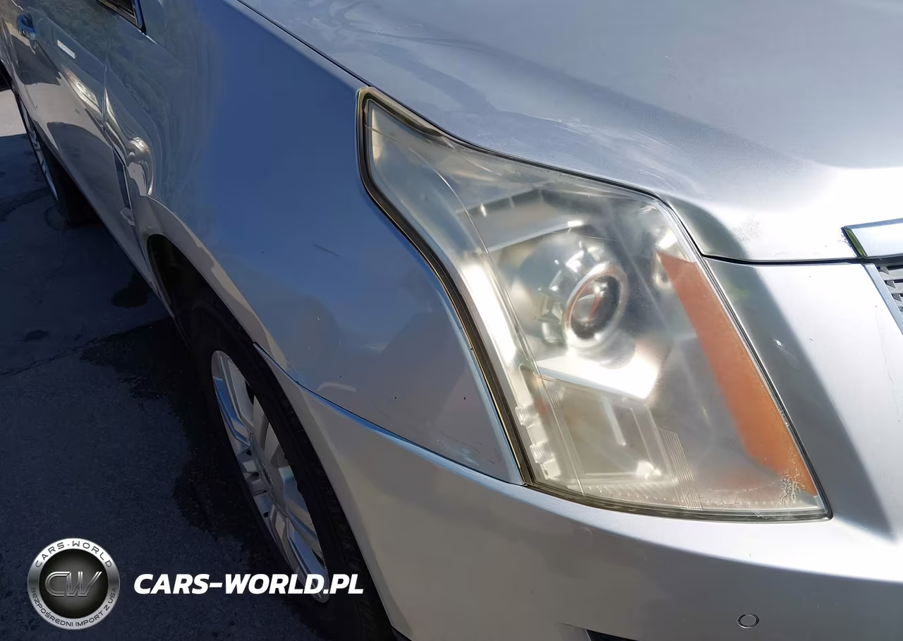 2012 Cadillac Srx Luxury Collection VIN:3GYFNAE3XCS500663 - 12