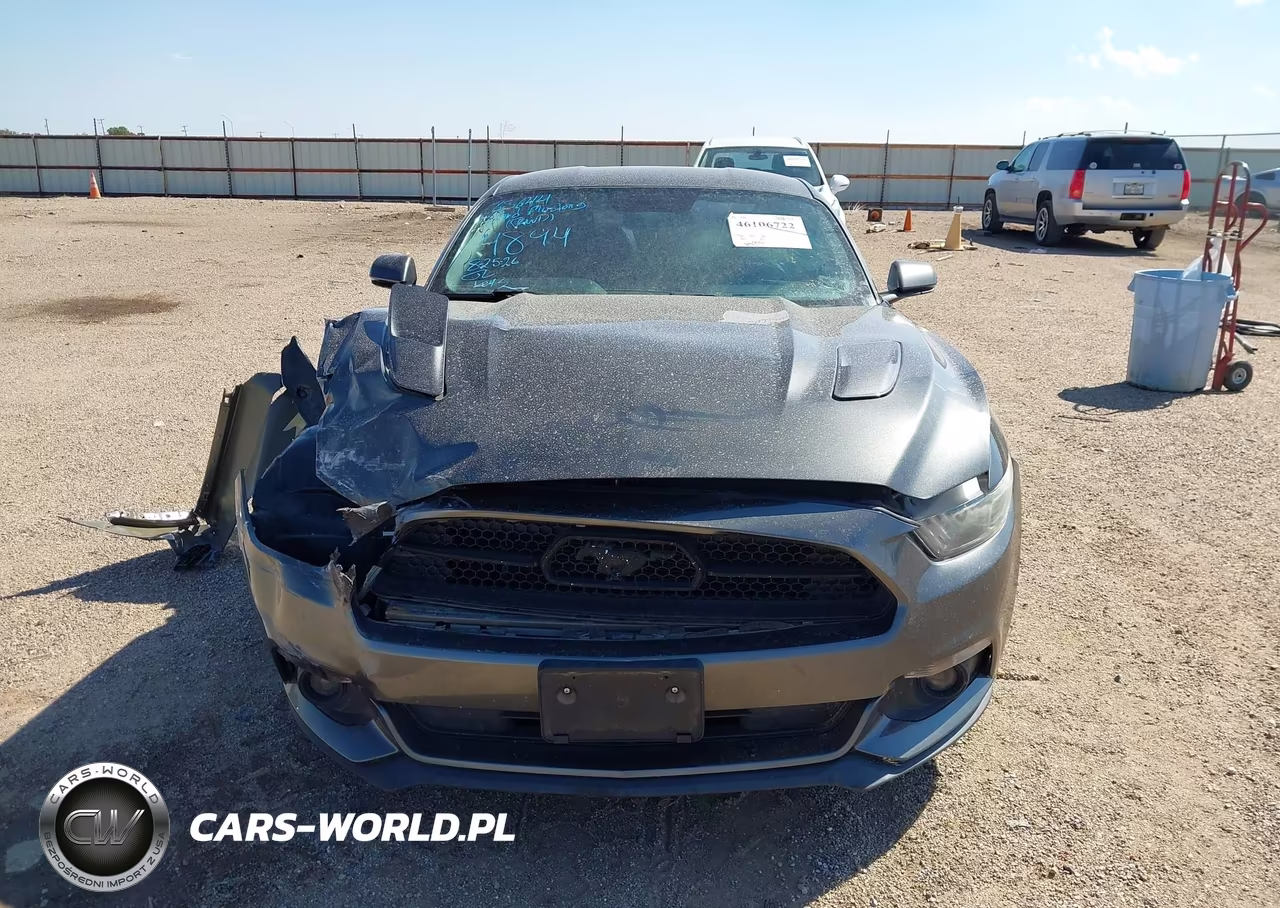 2015 Ford Mustang Gt Premium VIN:1FA6P8CFXF5304894 - 12