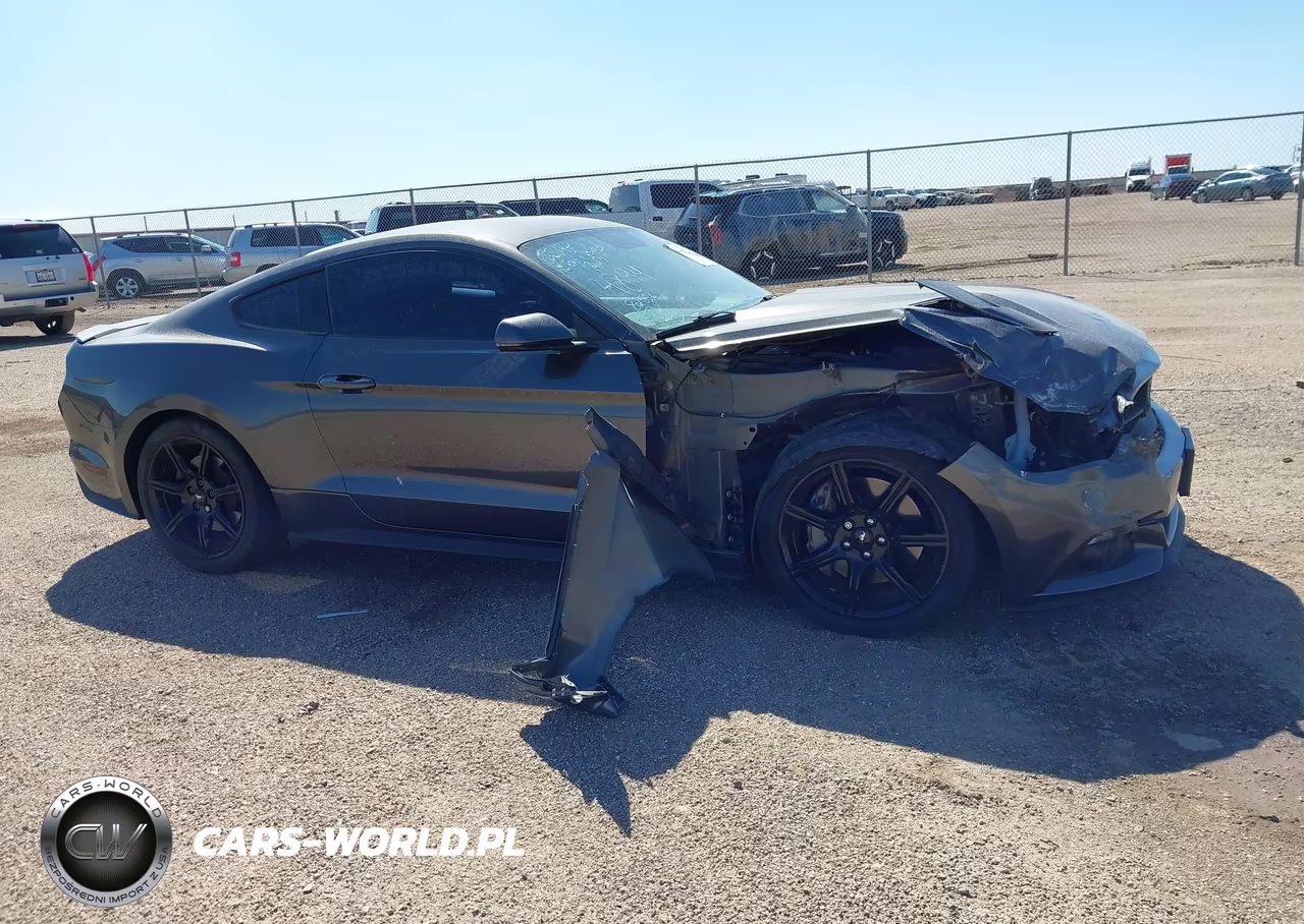 2015 Ford Mustang Gt Premium VIN:1FA6P8CFXF5304894 - 13