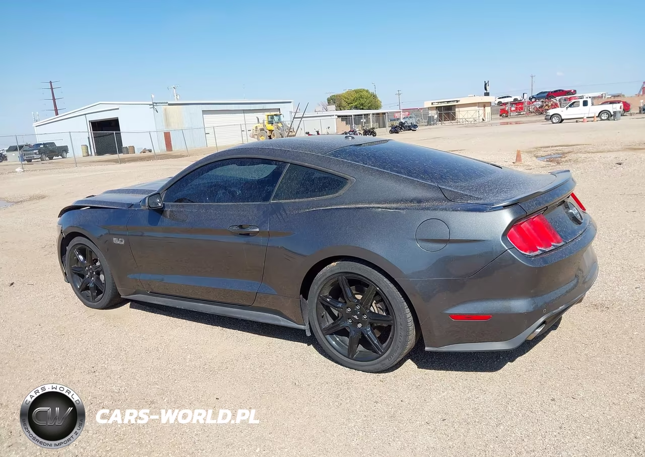 2015 Ford Mustang Gt Premium VIN:1FA6P8CFXF5304894 - 14